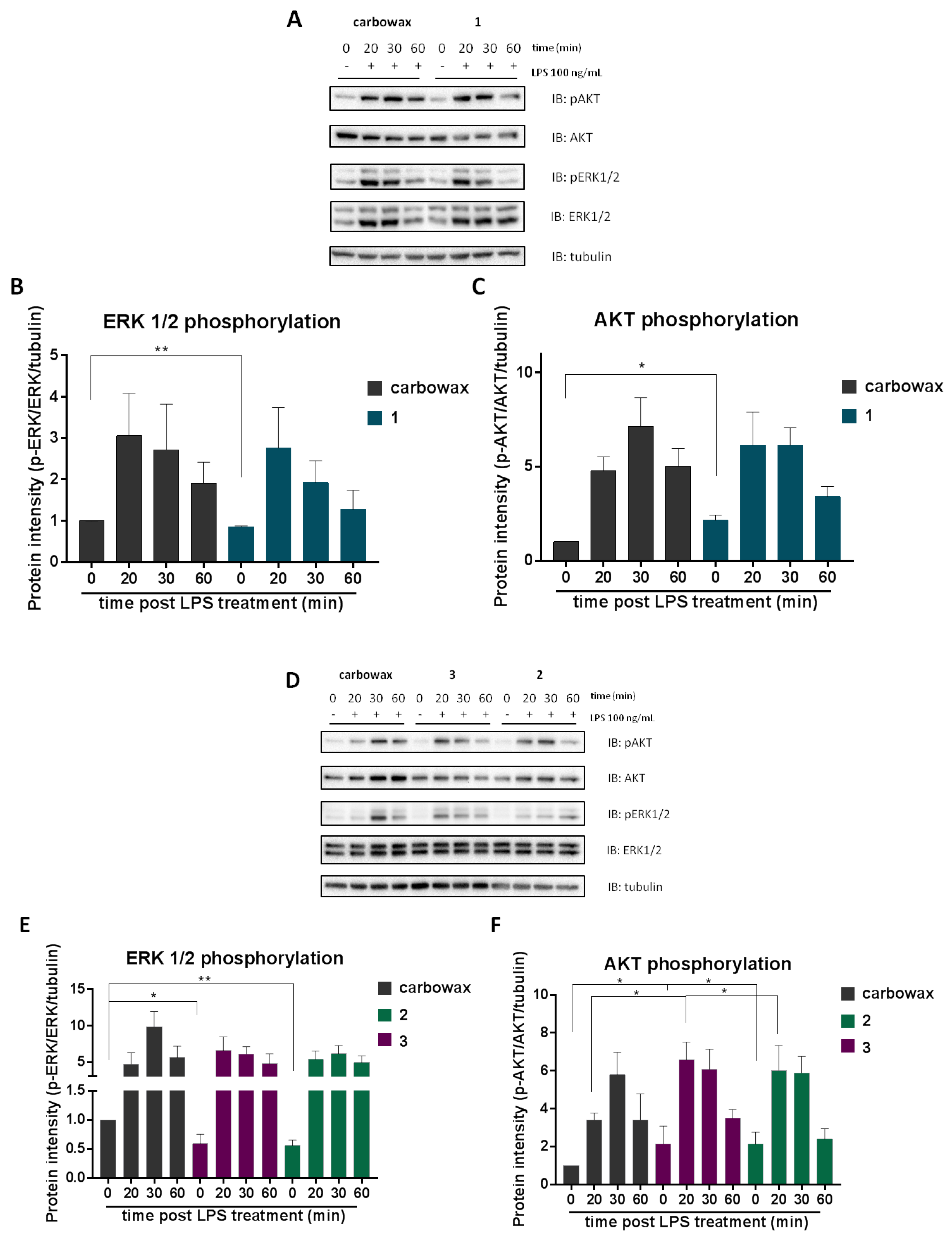 Marinedrugs 18 00527 g006