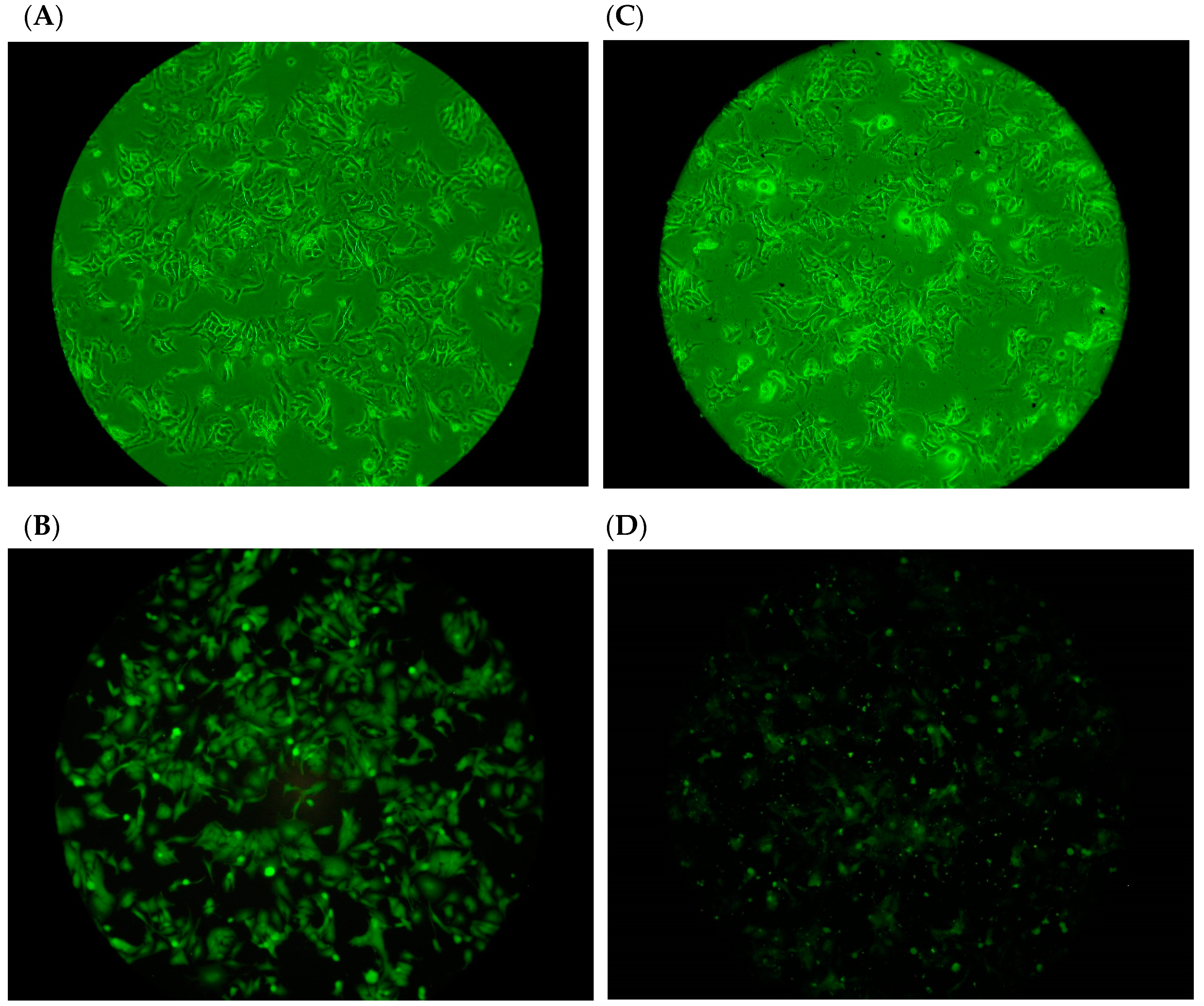 Marinedrugs 18 00542 g002