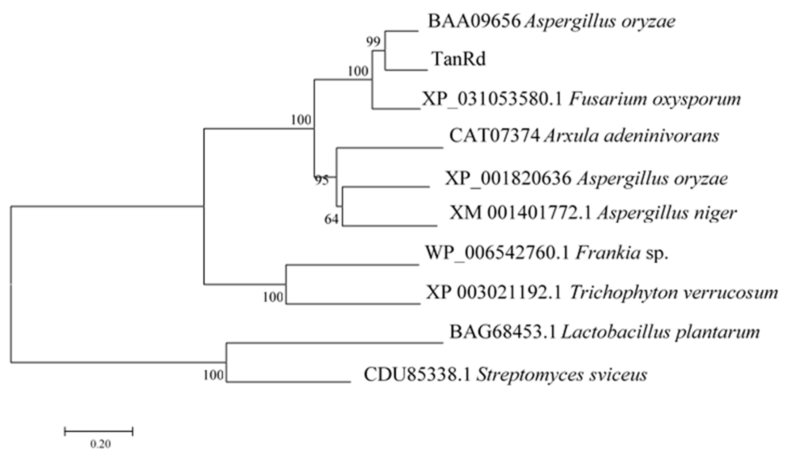 Marinedrugs 18 00546 g004