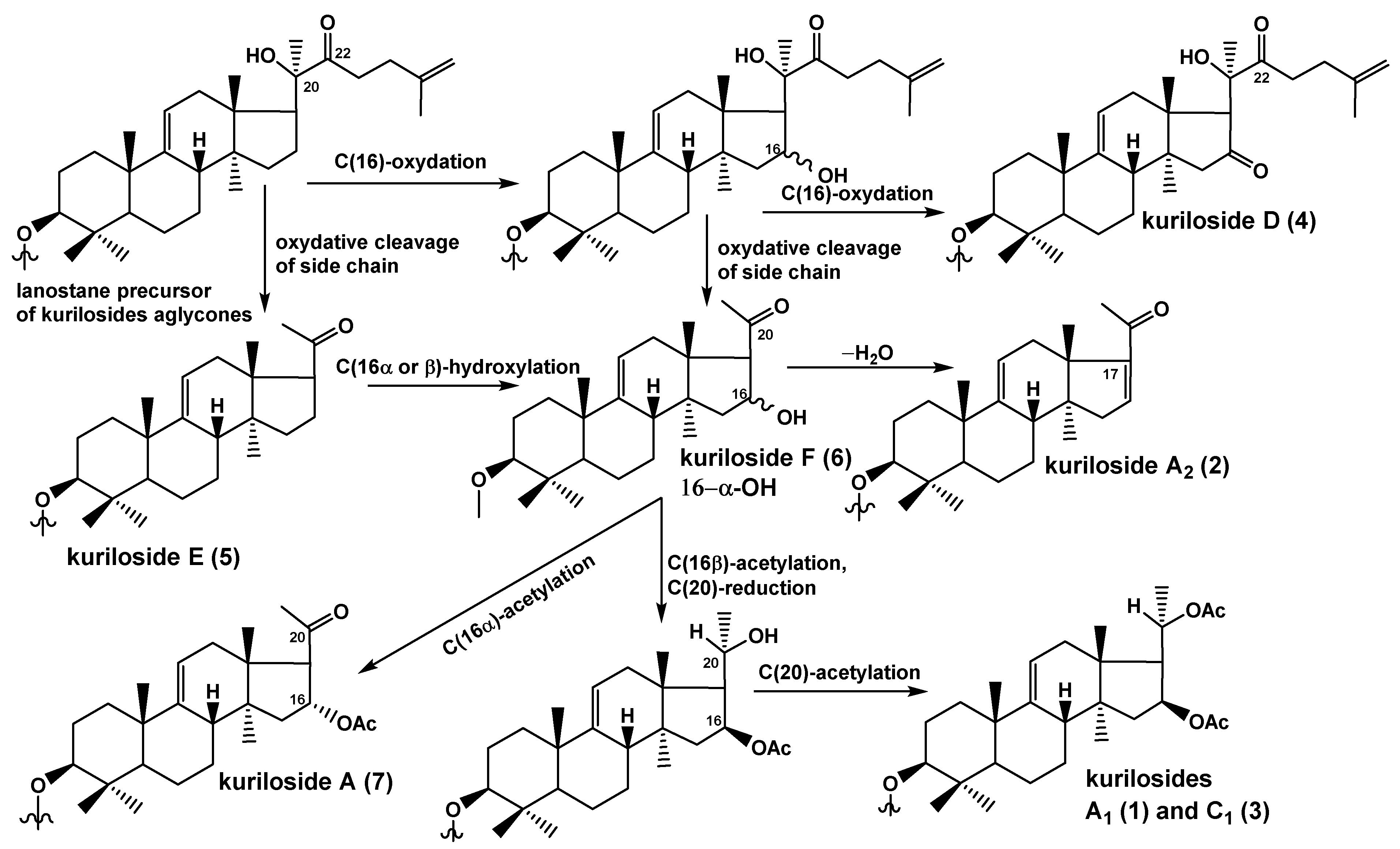 Marinedrugs 18 00551 g002