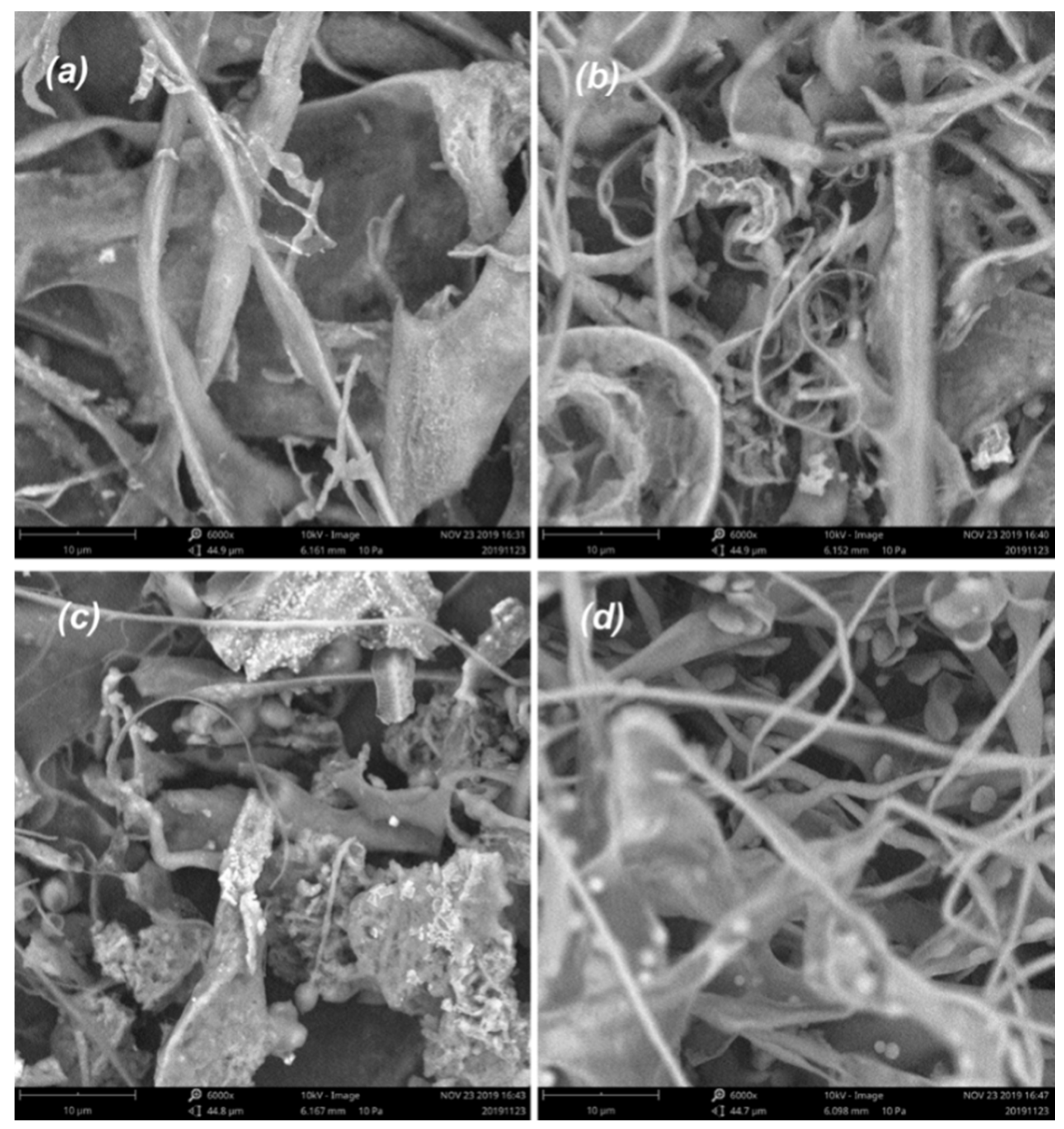 Marinedrugs 18 00552 g007 Marinedrugs 18 00552 g007