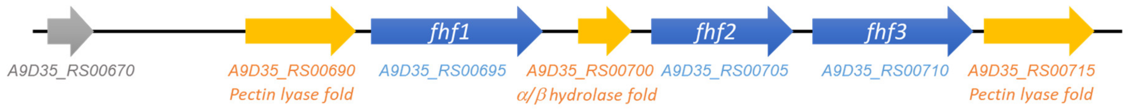 Marinedrugs 18 00562 g001 Marinedrugs 18 00562 g001