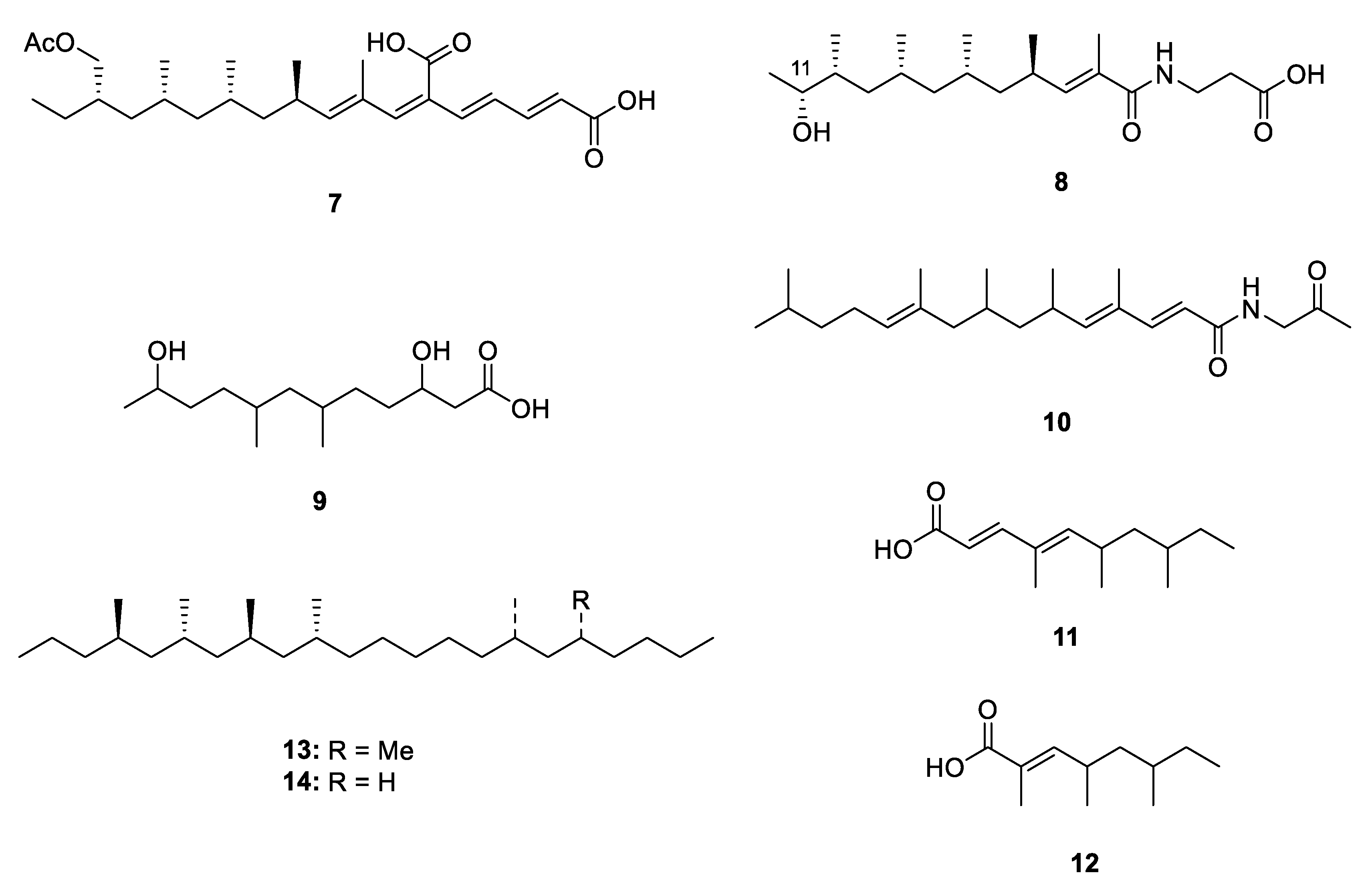Marinedrugs 18 00569 g003 Marinedrugs 18 00569 g003