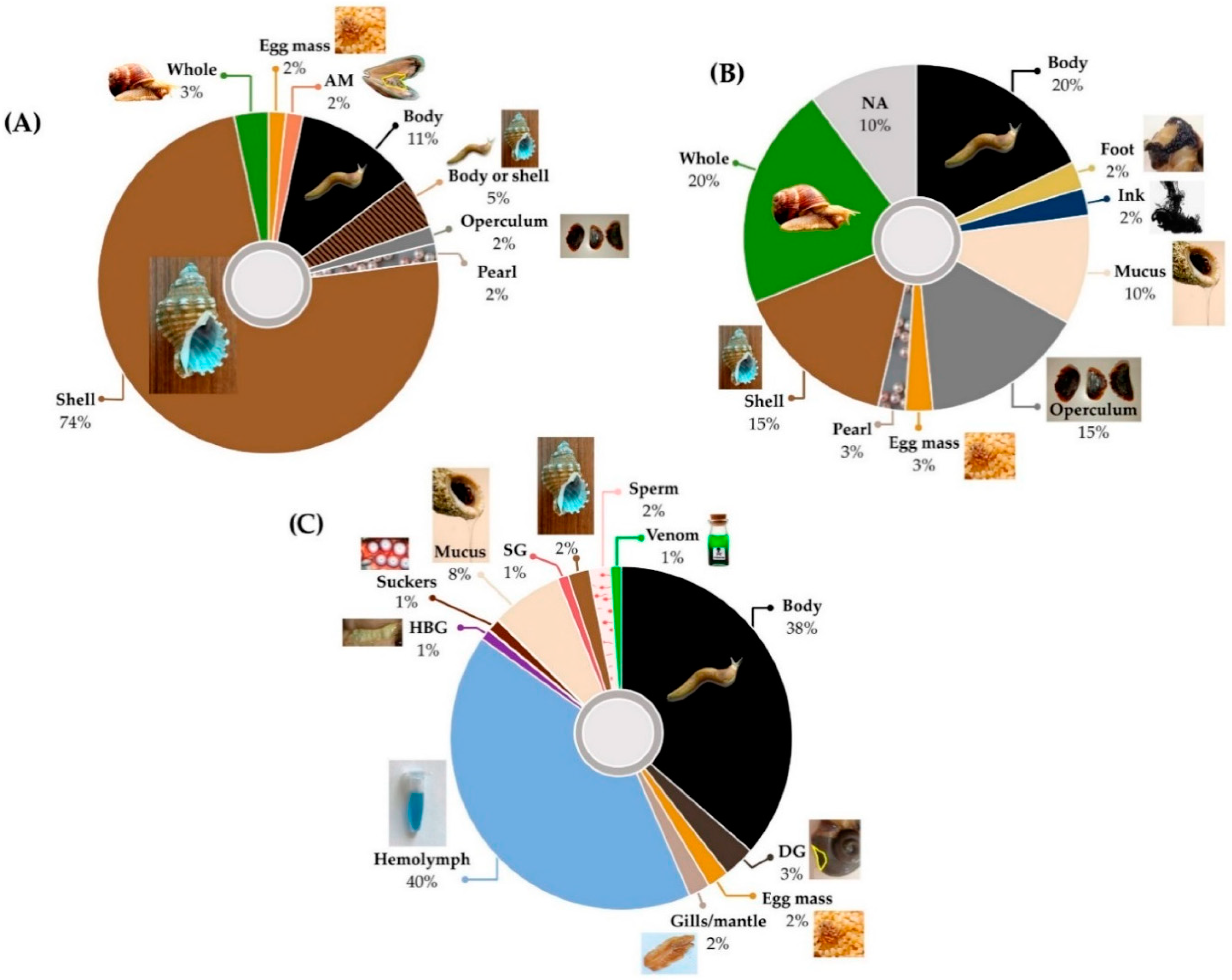 Marinedrugs 18 00570 g001