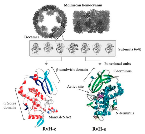 Marinedrugs 18 00570 g003