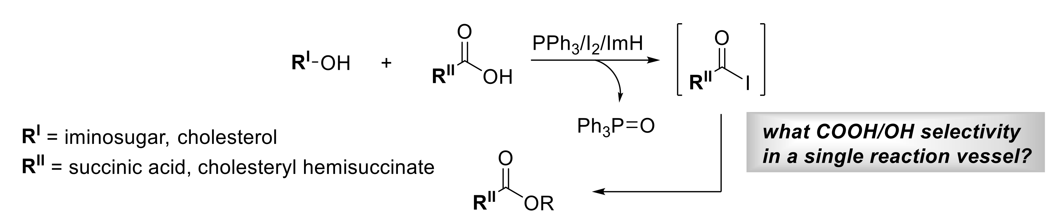 Marinedrugs 18 00572 sch001