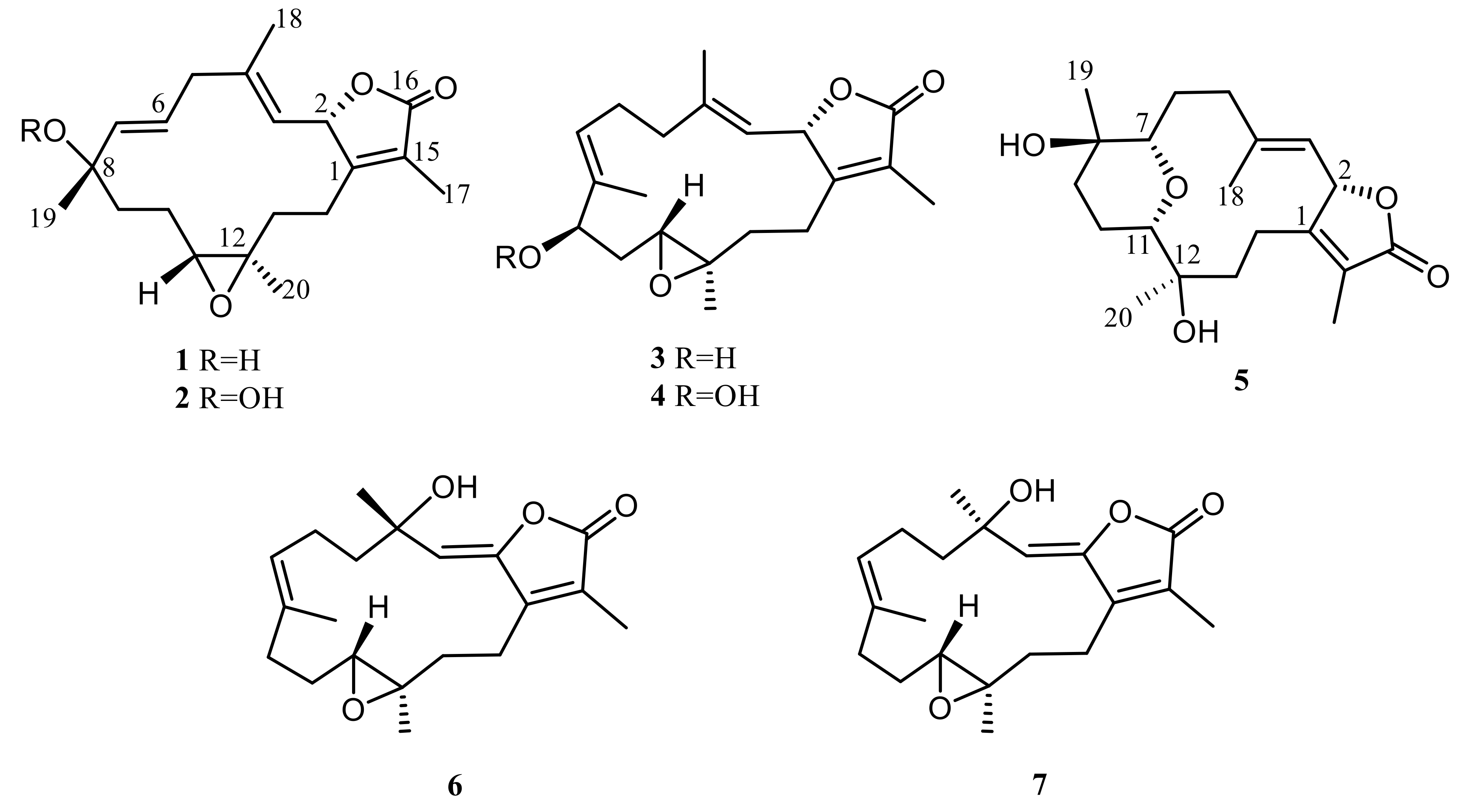 Marinedrugs 18 00573 g001