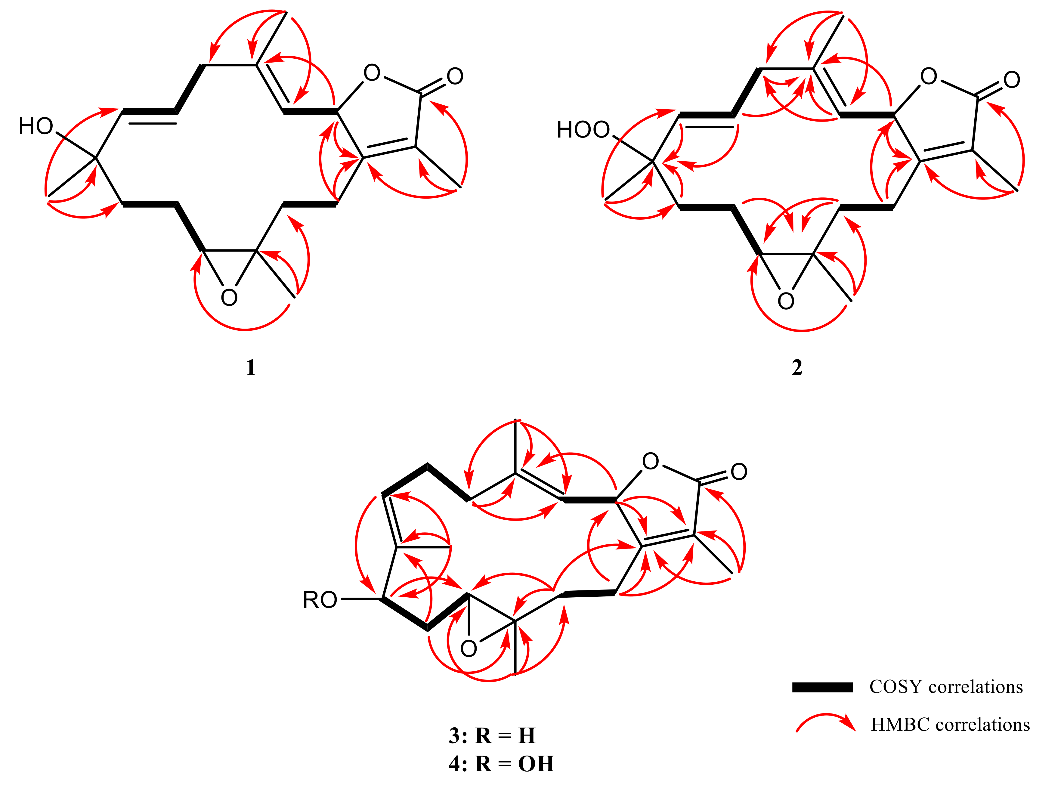 Marinedrugs 18 00573 g002