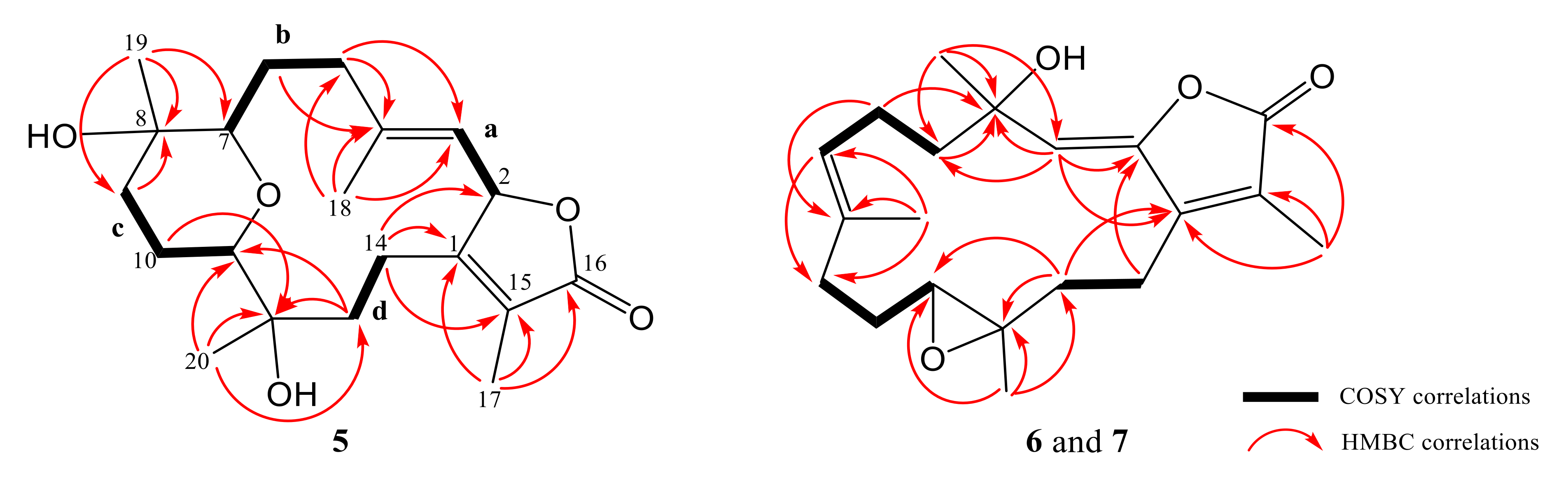 Marinedrugs 18 00573 g004