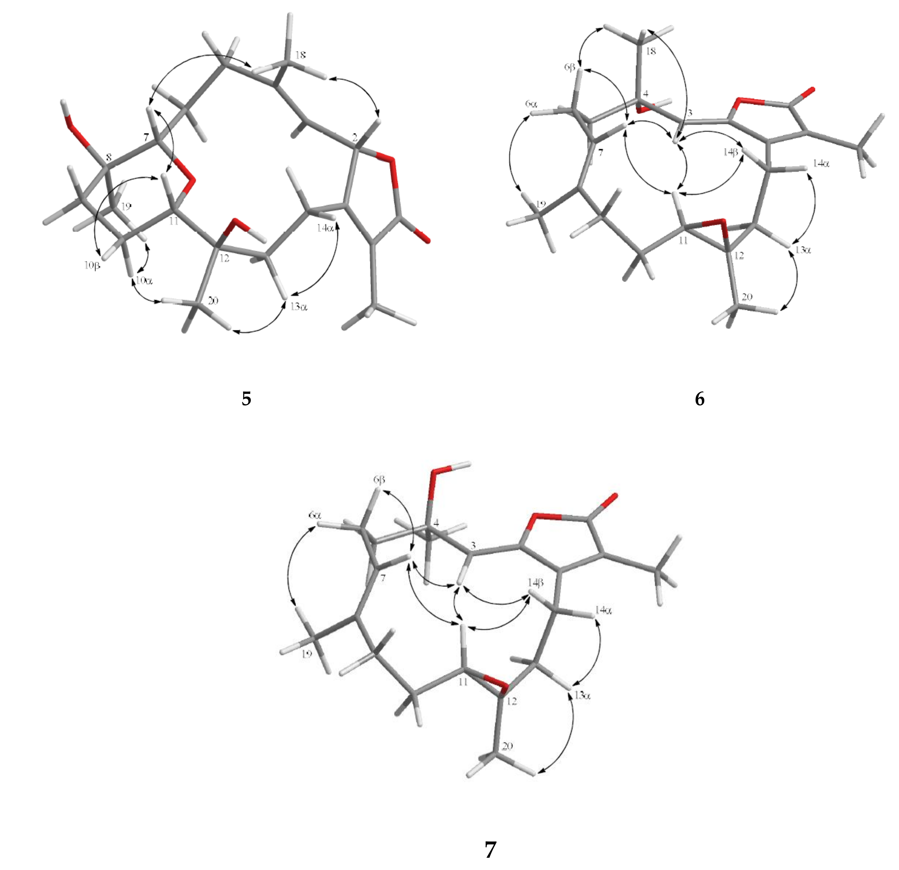 Marinedrugs 18 00573 g005