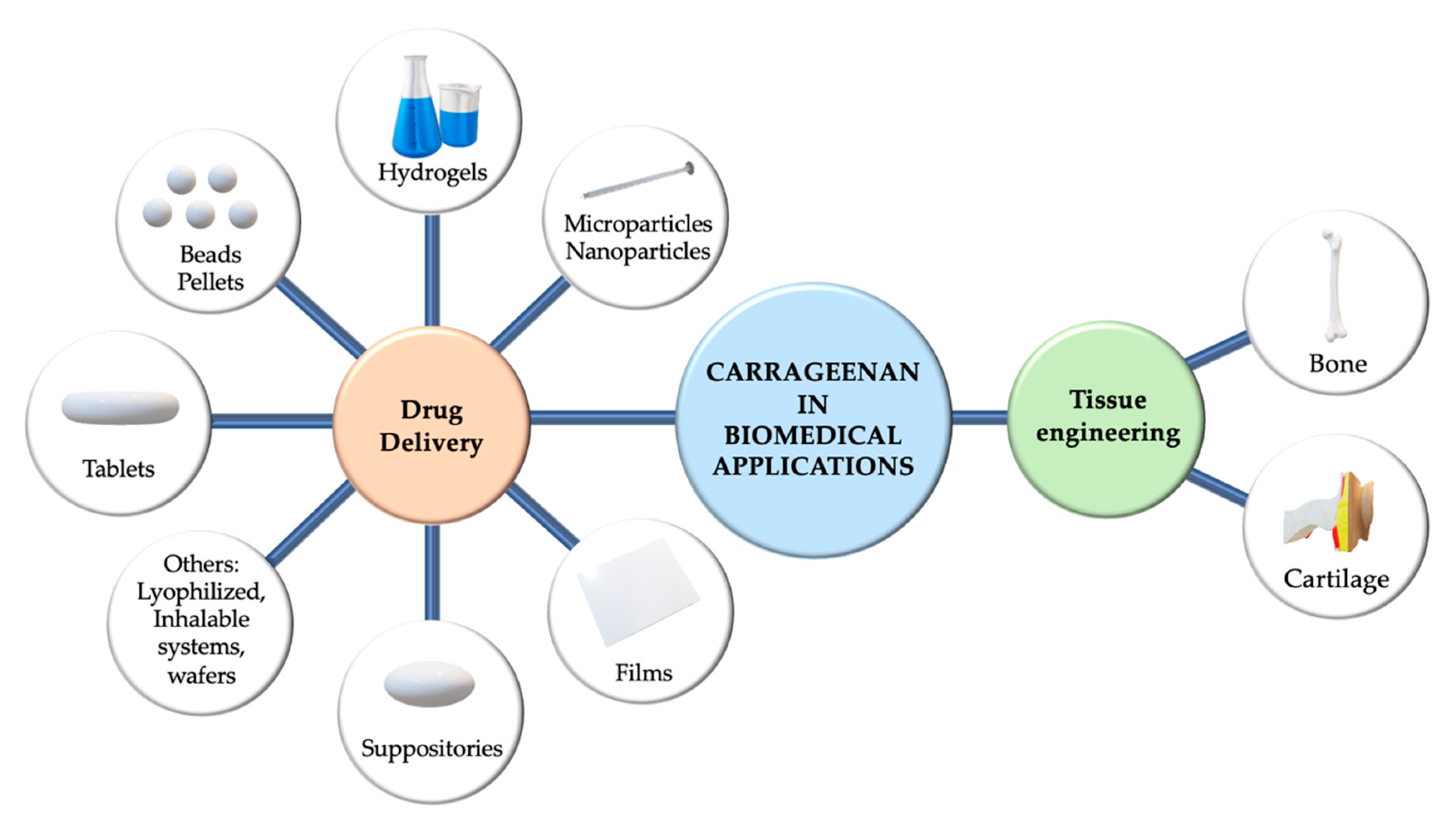 Marinedrugs 18 00583 g006