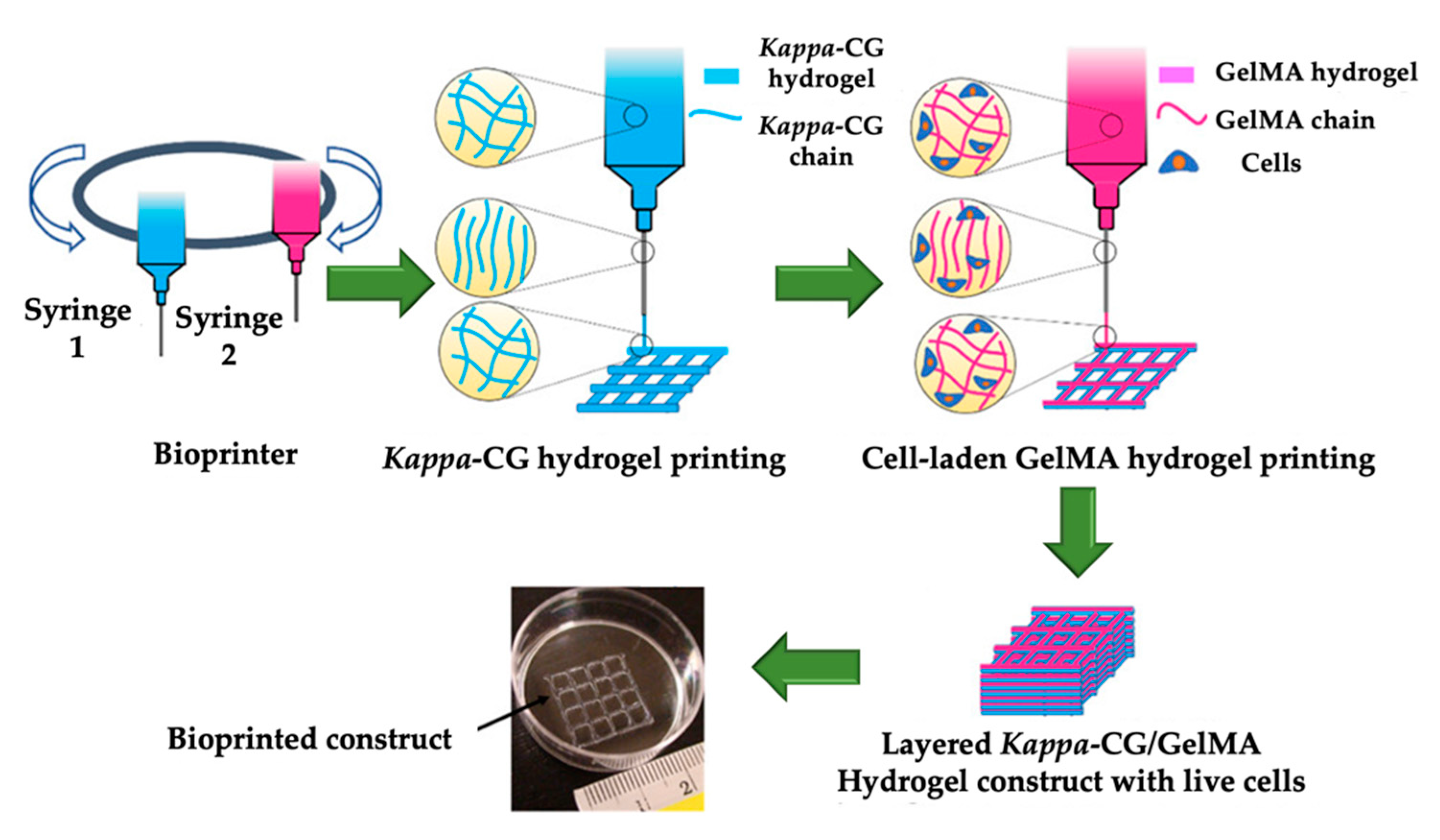 Marinedrugs 18 00583 g011