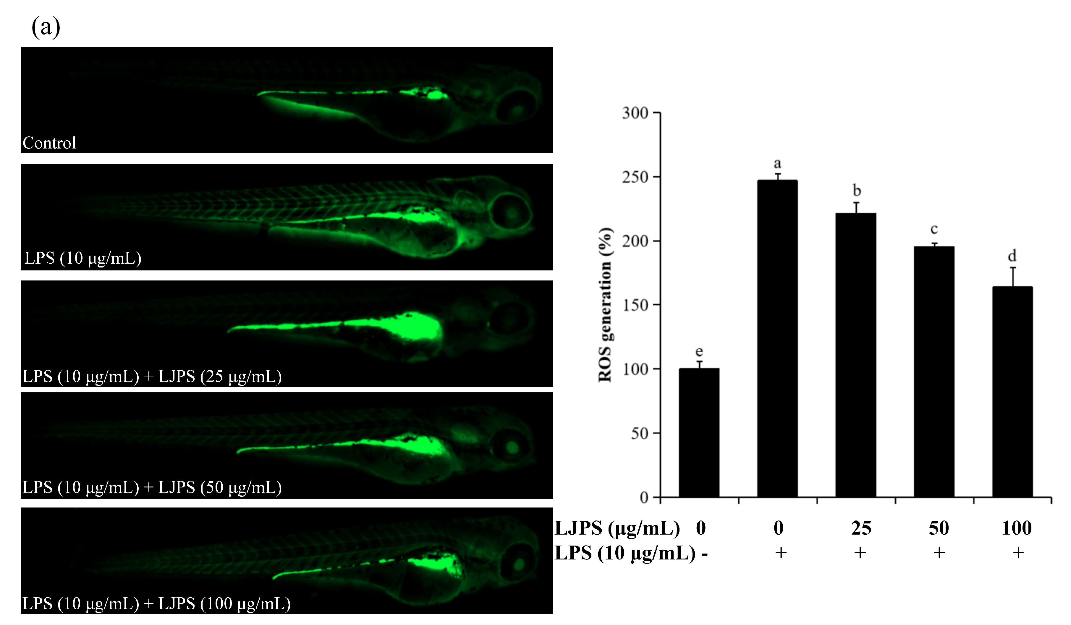 Marinedrugs 18 00593 g008a