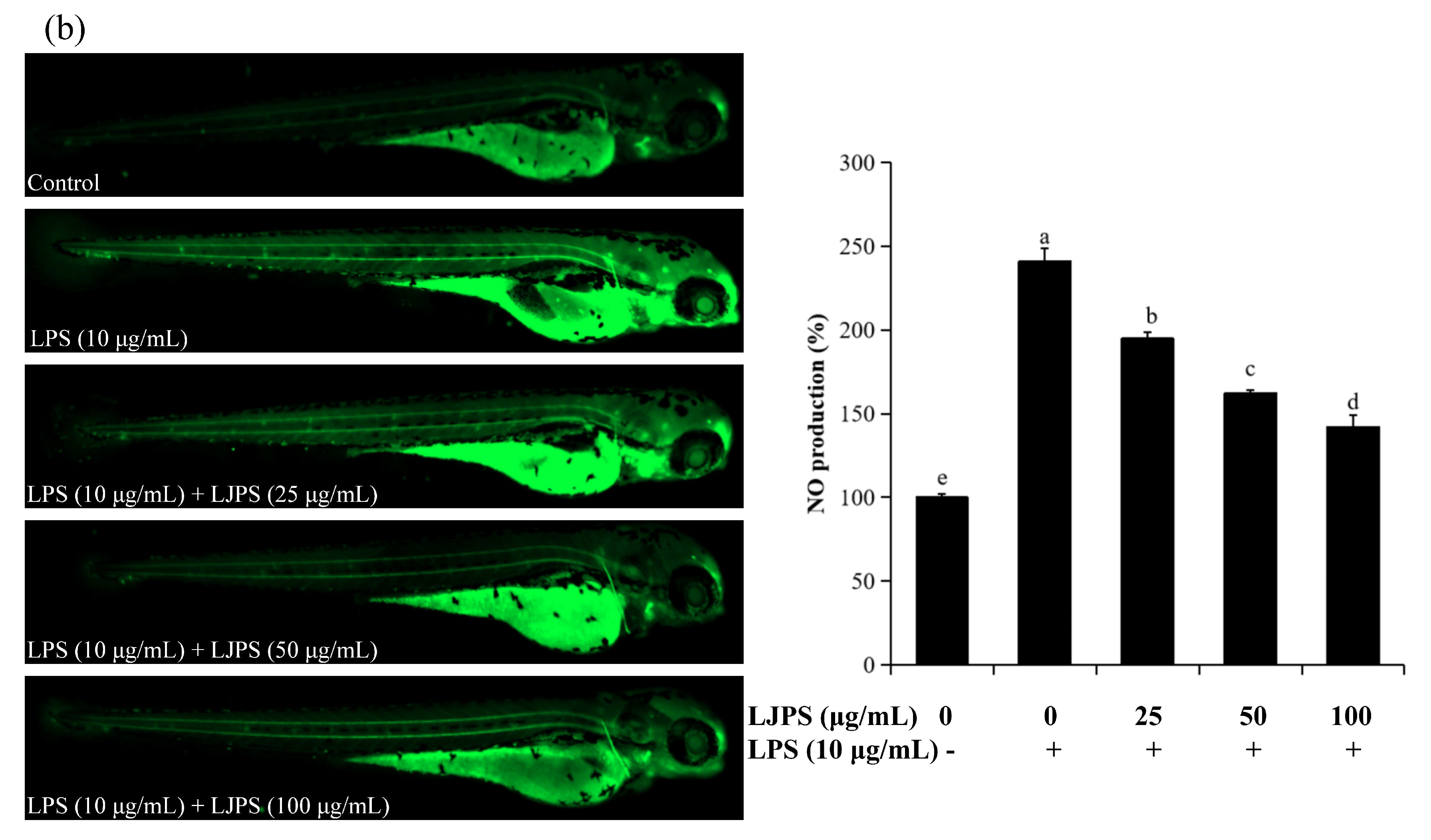 Marinedrugs 18 00593 g008b