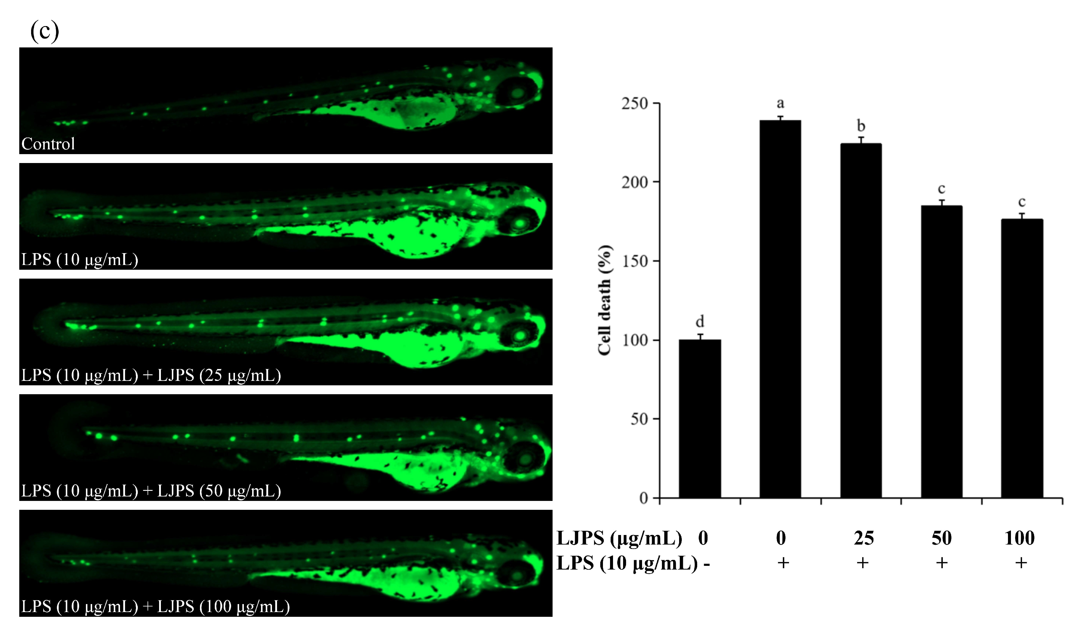 Marinedrugs 18 00593 g008c
