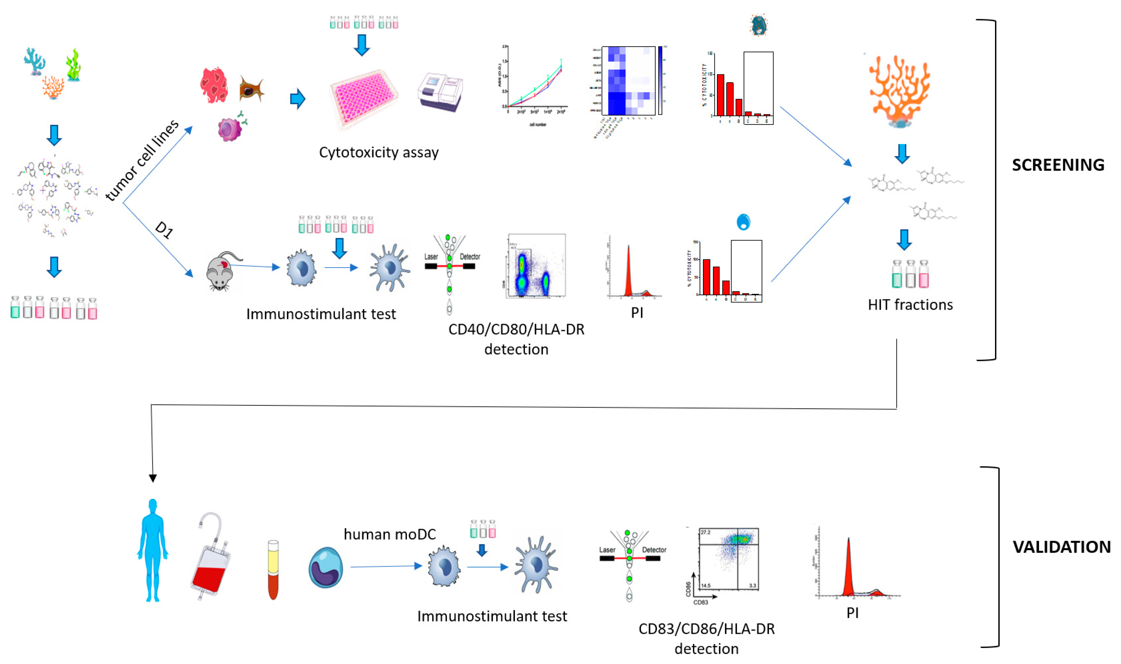 Marinedrugs 18 00604 g005 Marinedrugs 18 00604 g005