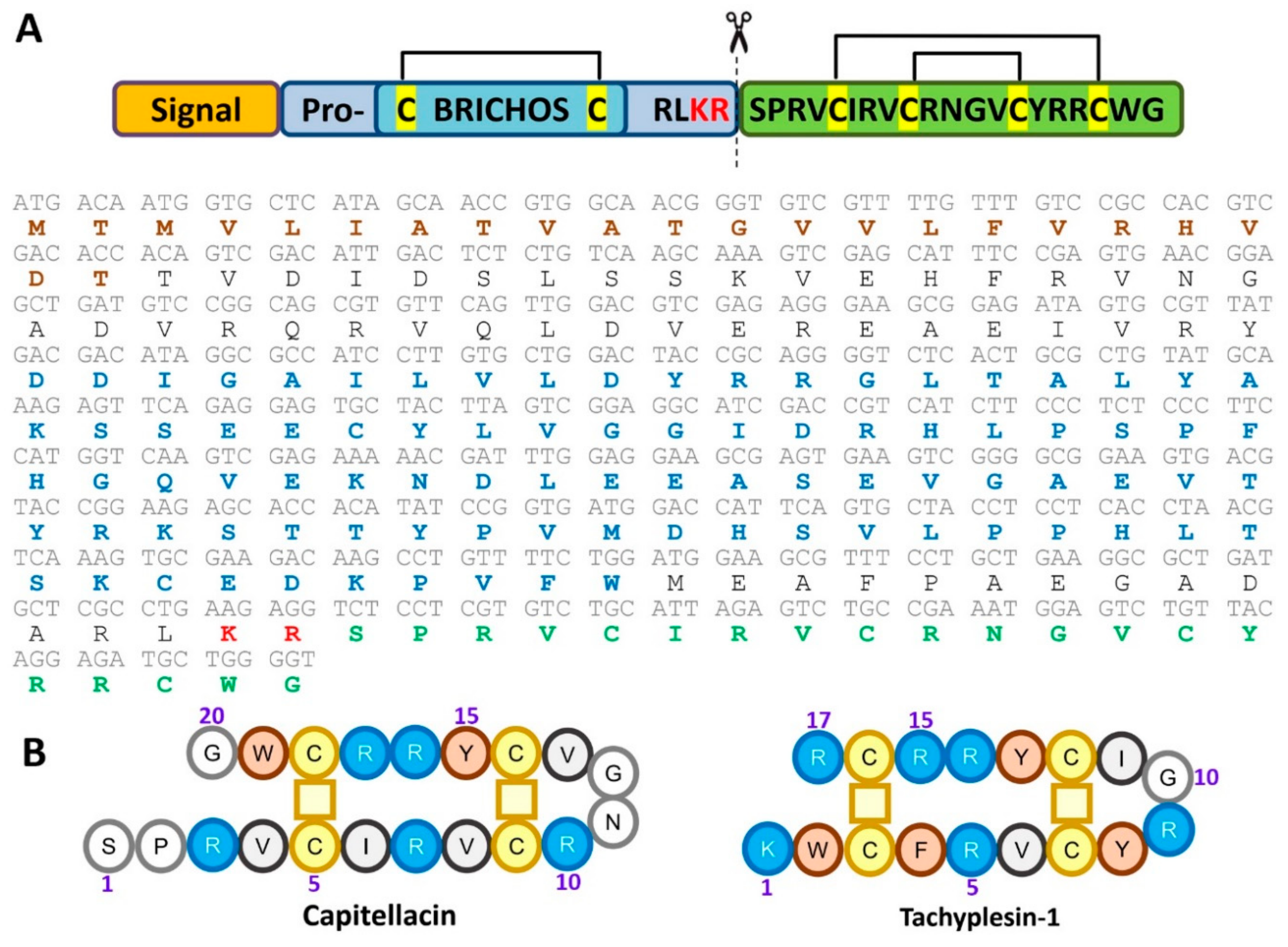 Marinedrugs 18 00620 g001 Marinedrugs 18 00620 g001