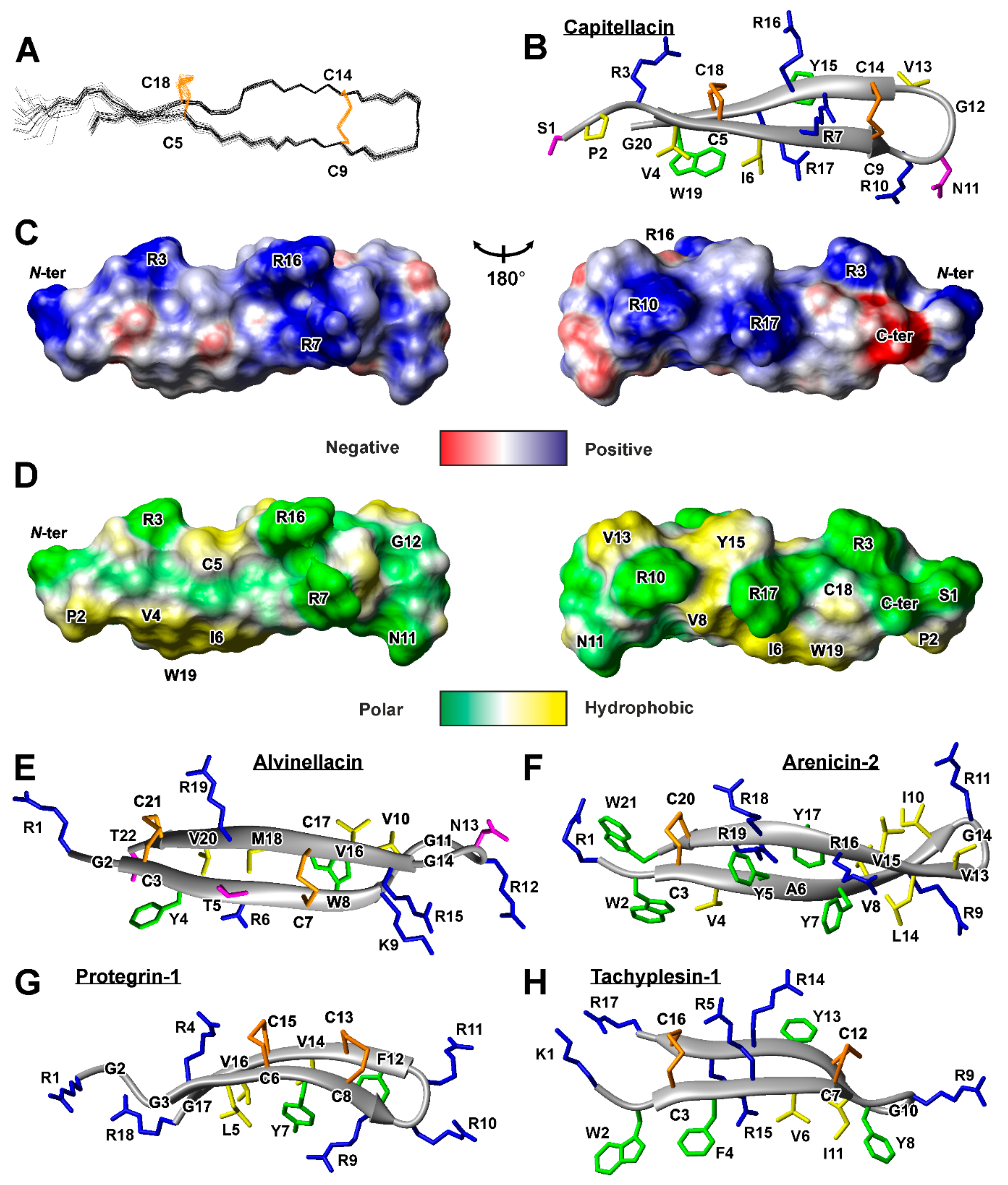 Marinedrugs 18 00620 g003 Marinedrugs 18 00620 g003