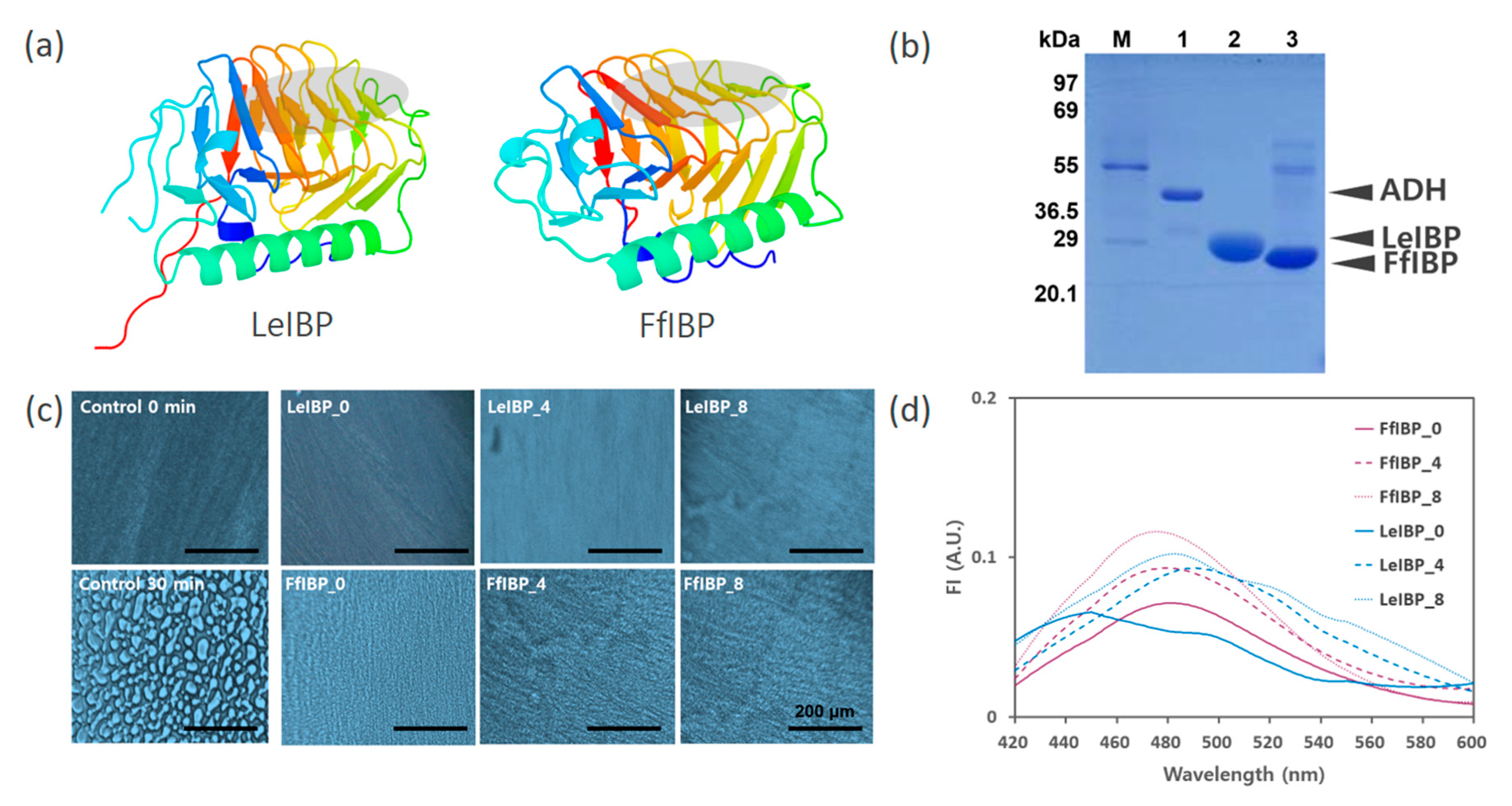 Marinedrugs 18 00638 g001