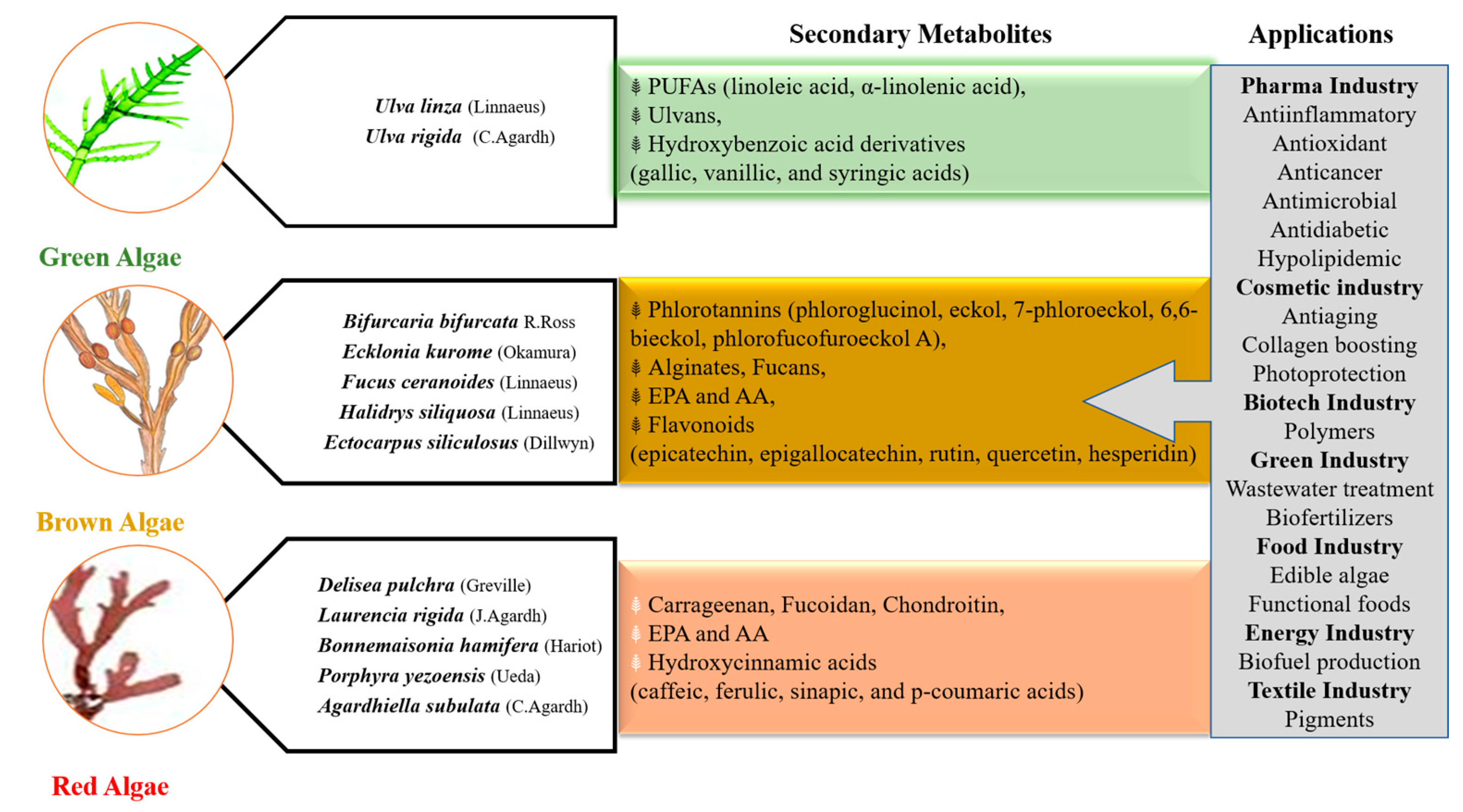 Marinedrugs 18 00641 g003