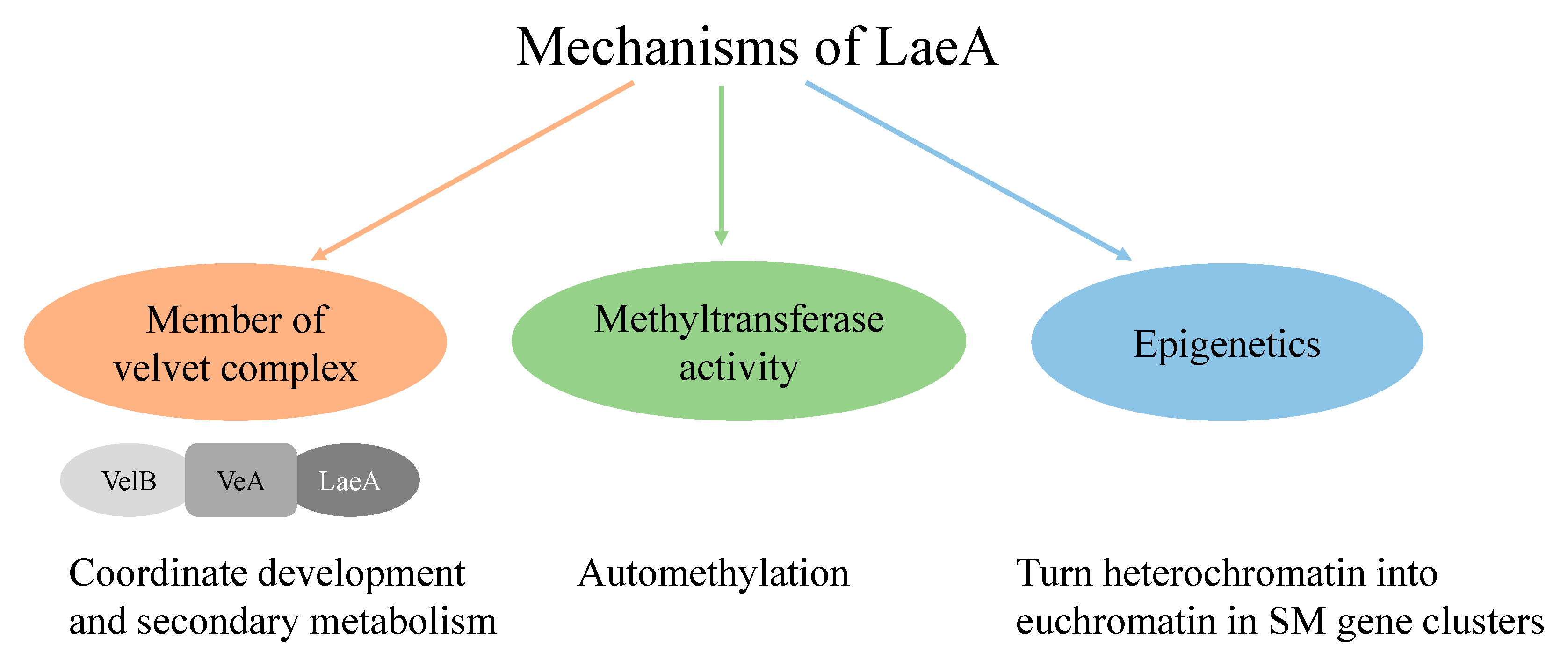 Marinedrugs 18 00652 g001