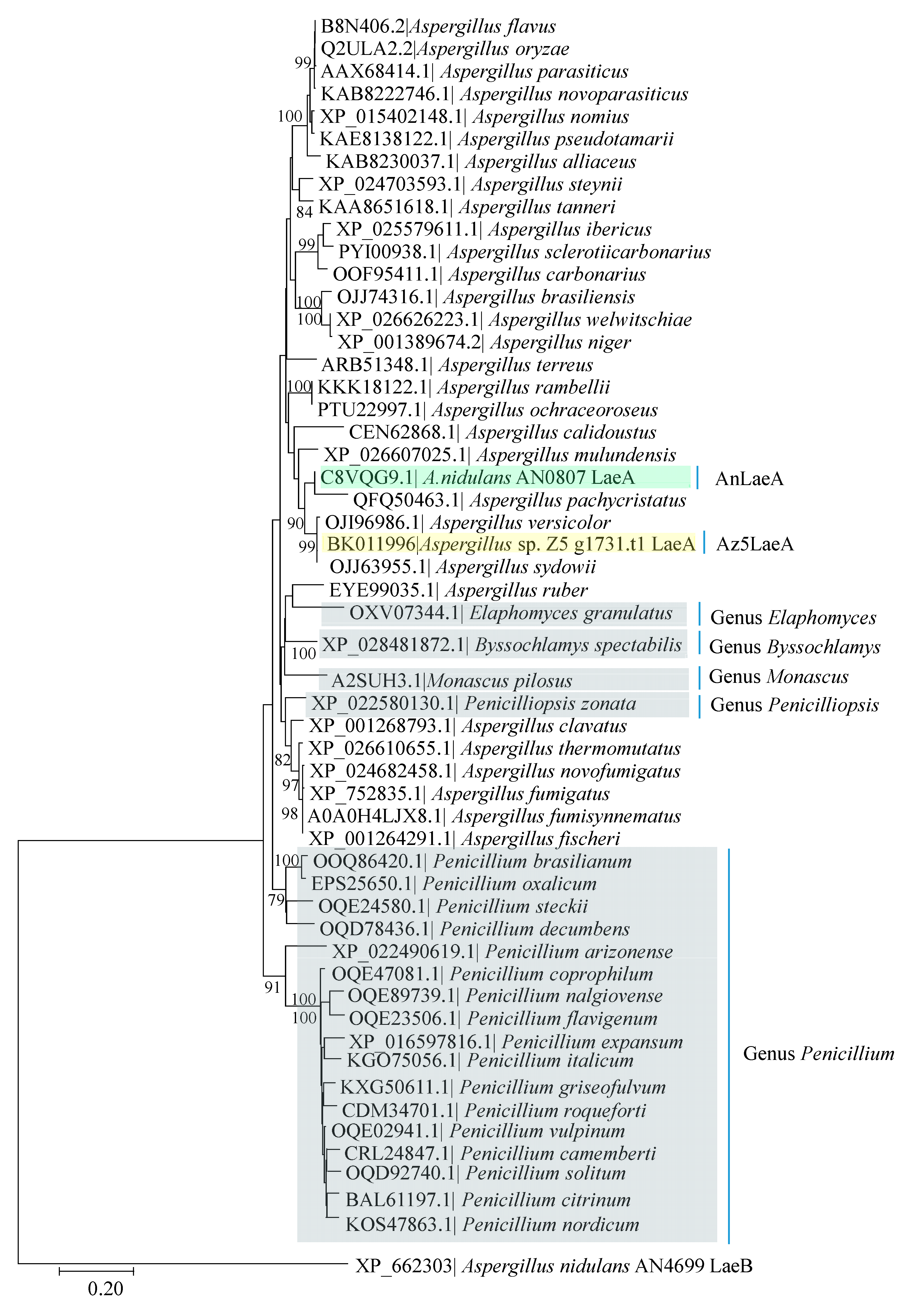 Marinedrugs 18 00652 g002