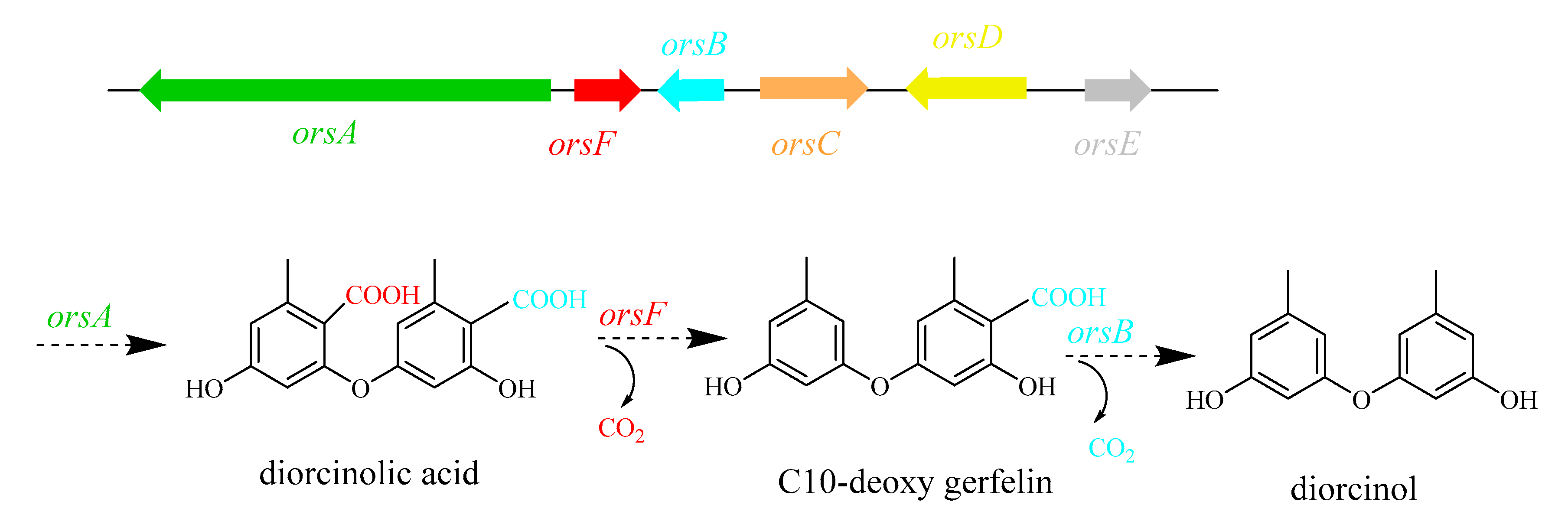 Marinedrugs 18 00652 g008