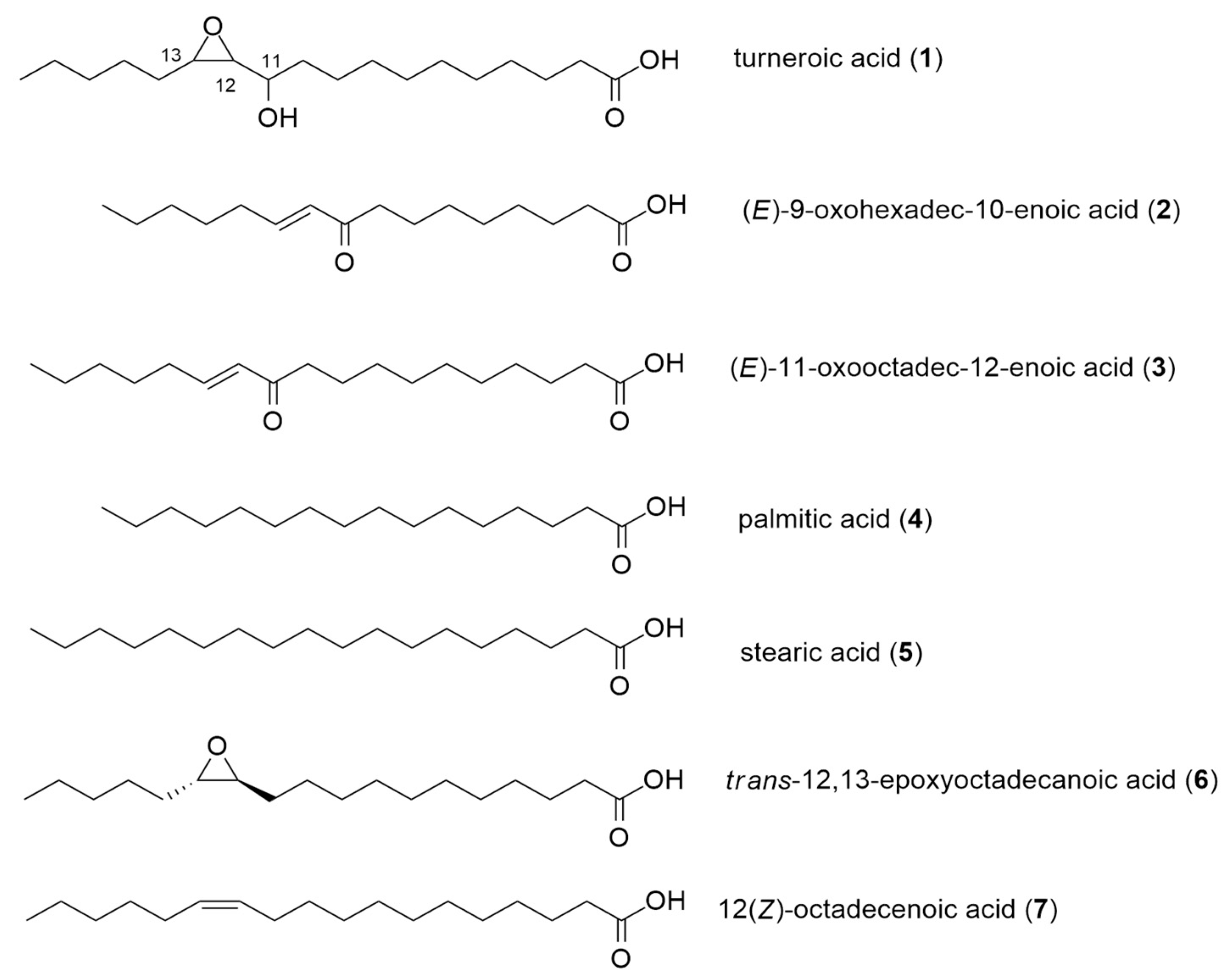 Marinedrugs 18 00656 g002