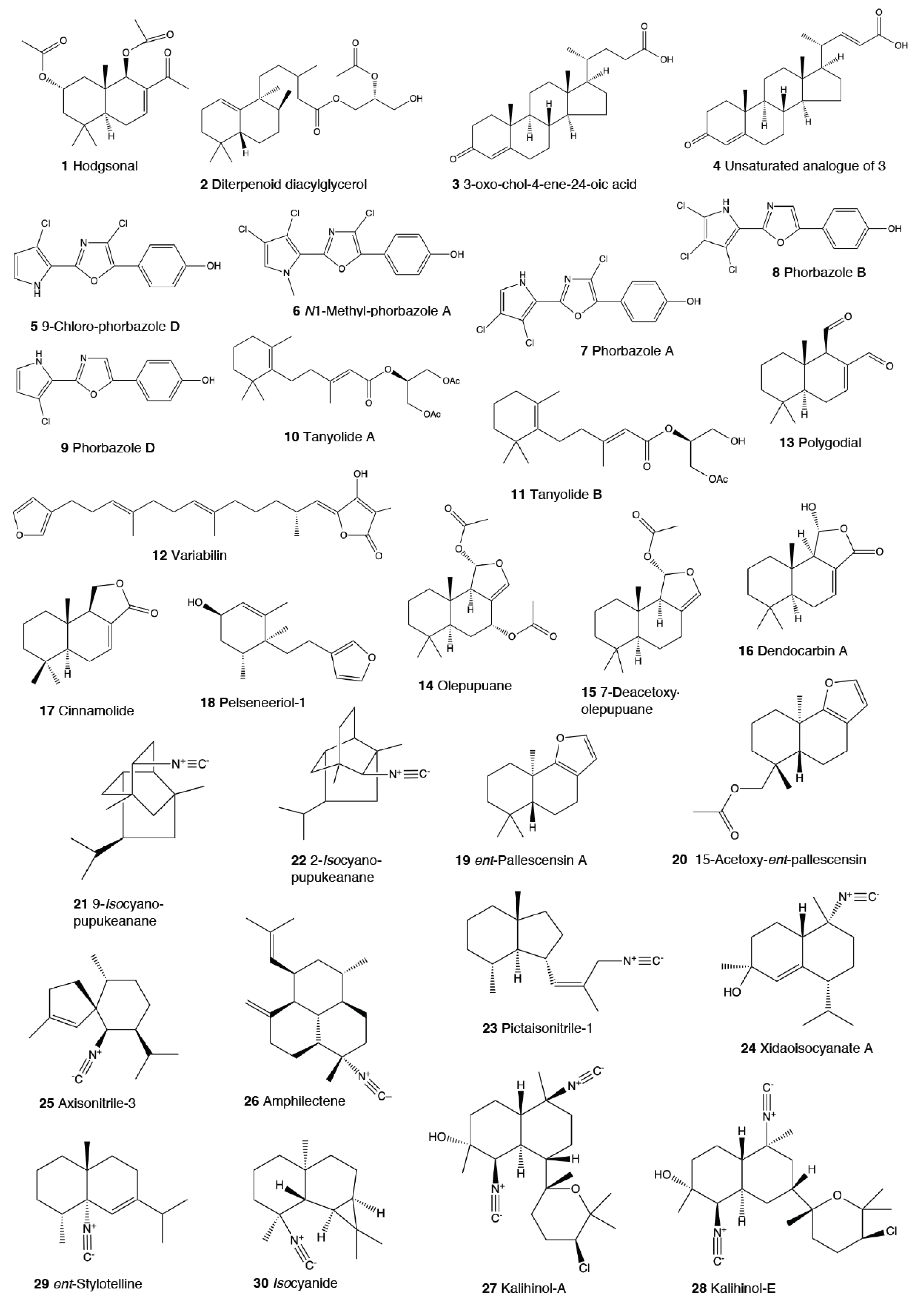 Marinedrugs 18 00657 g001