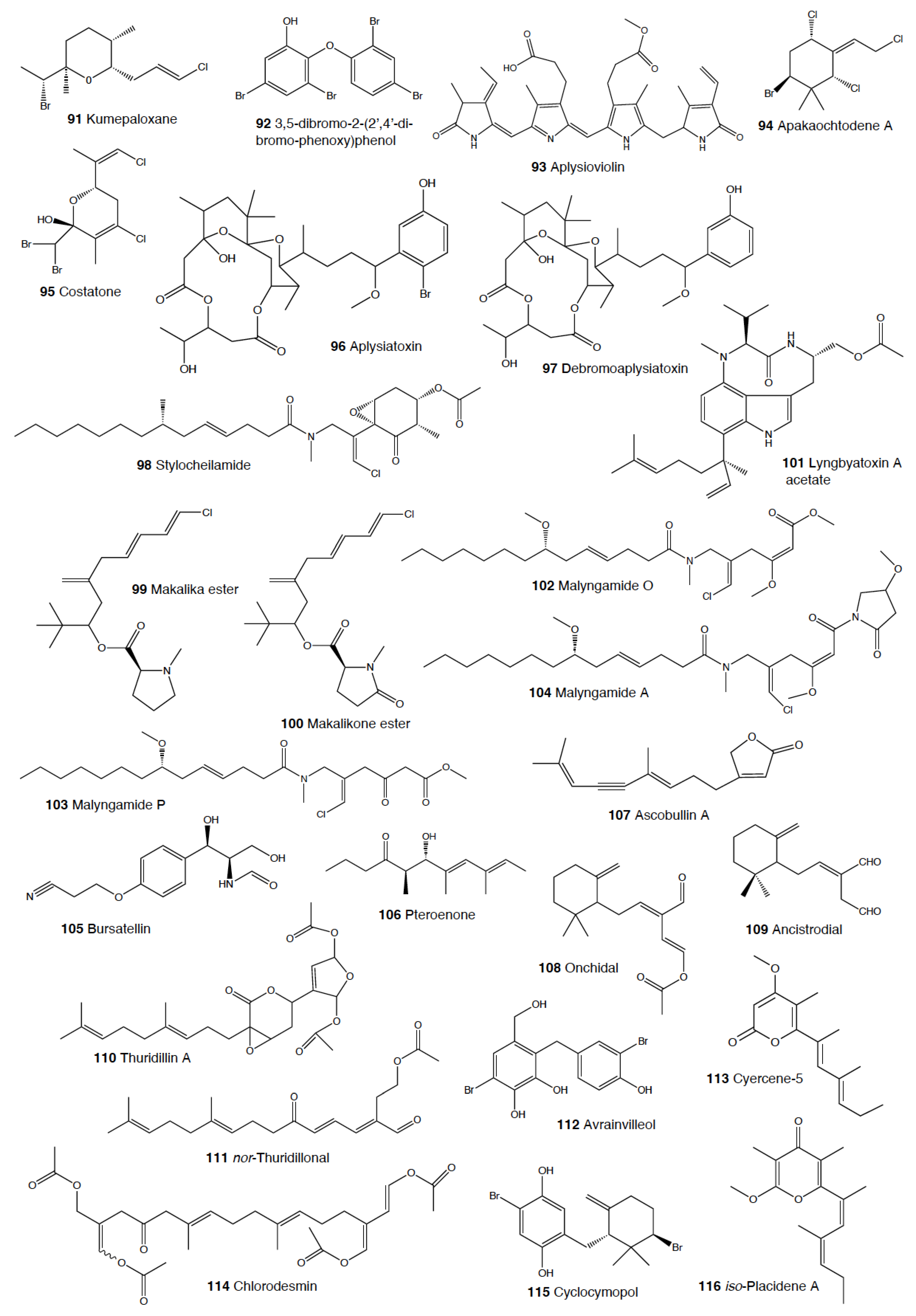 Marinedrugs 18 00657 g004