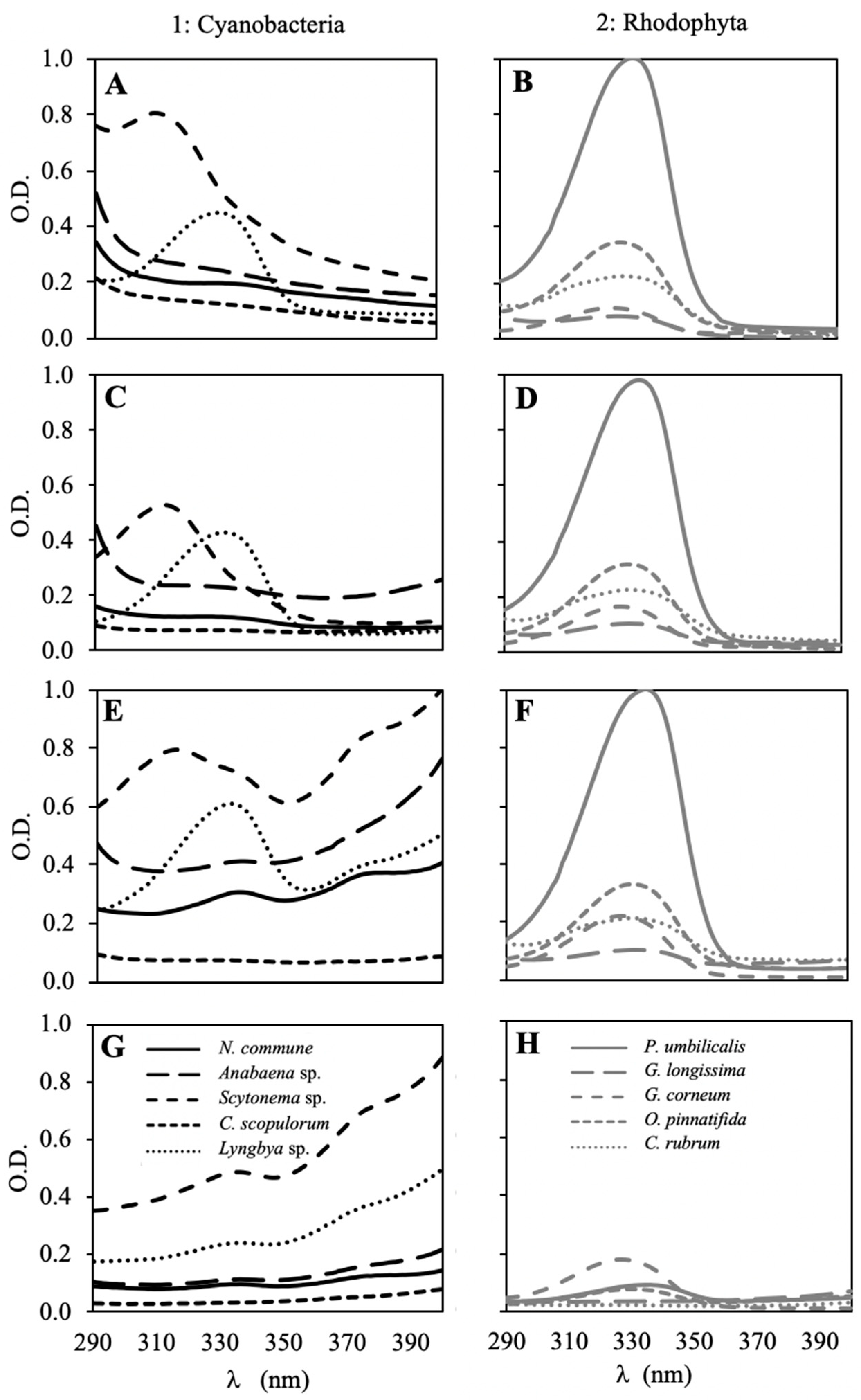 Marinedrugs 18 00659 g001
