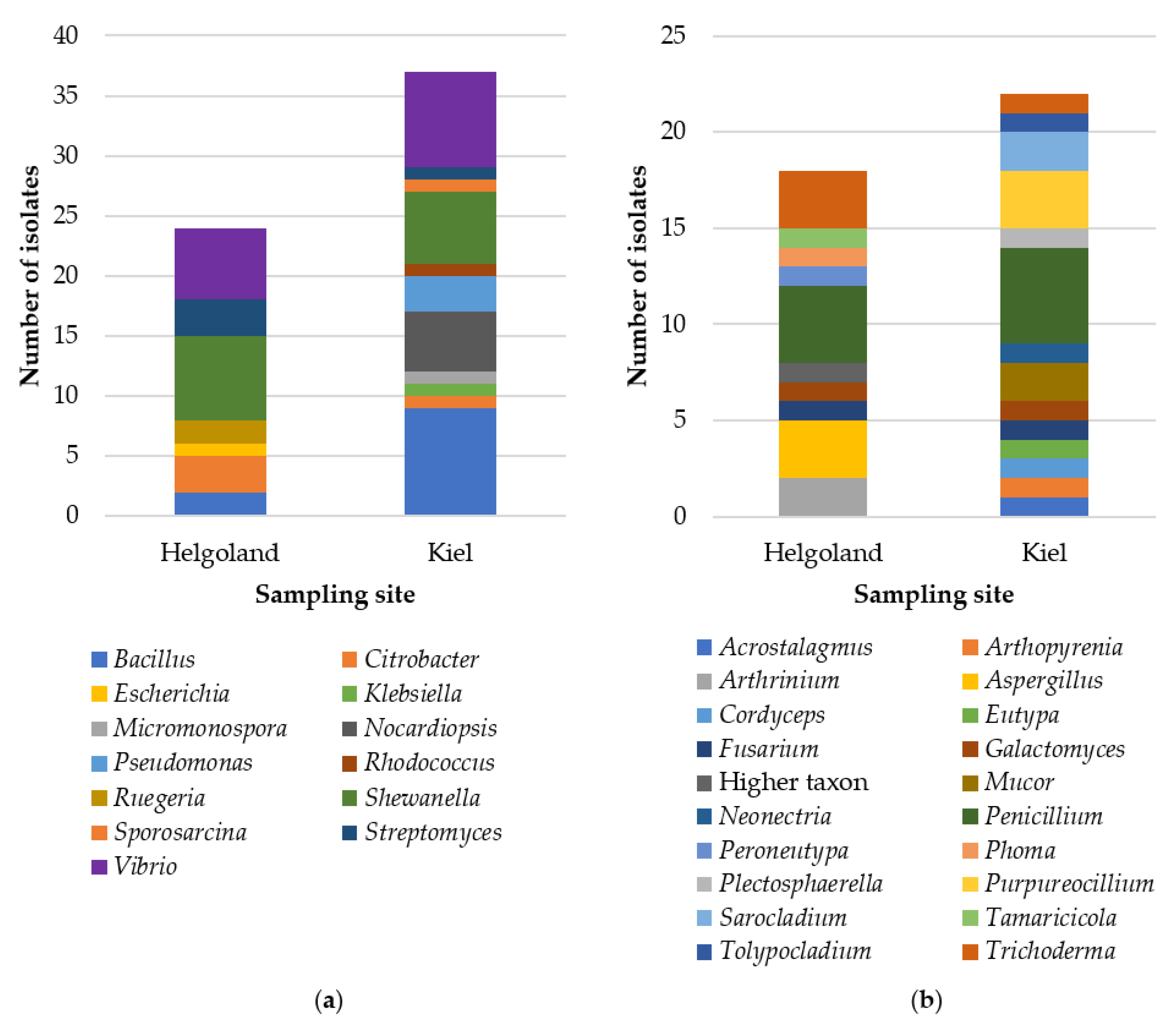 Marinedrugs 19 00006 g002