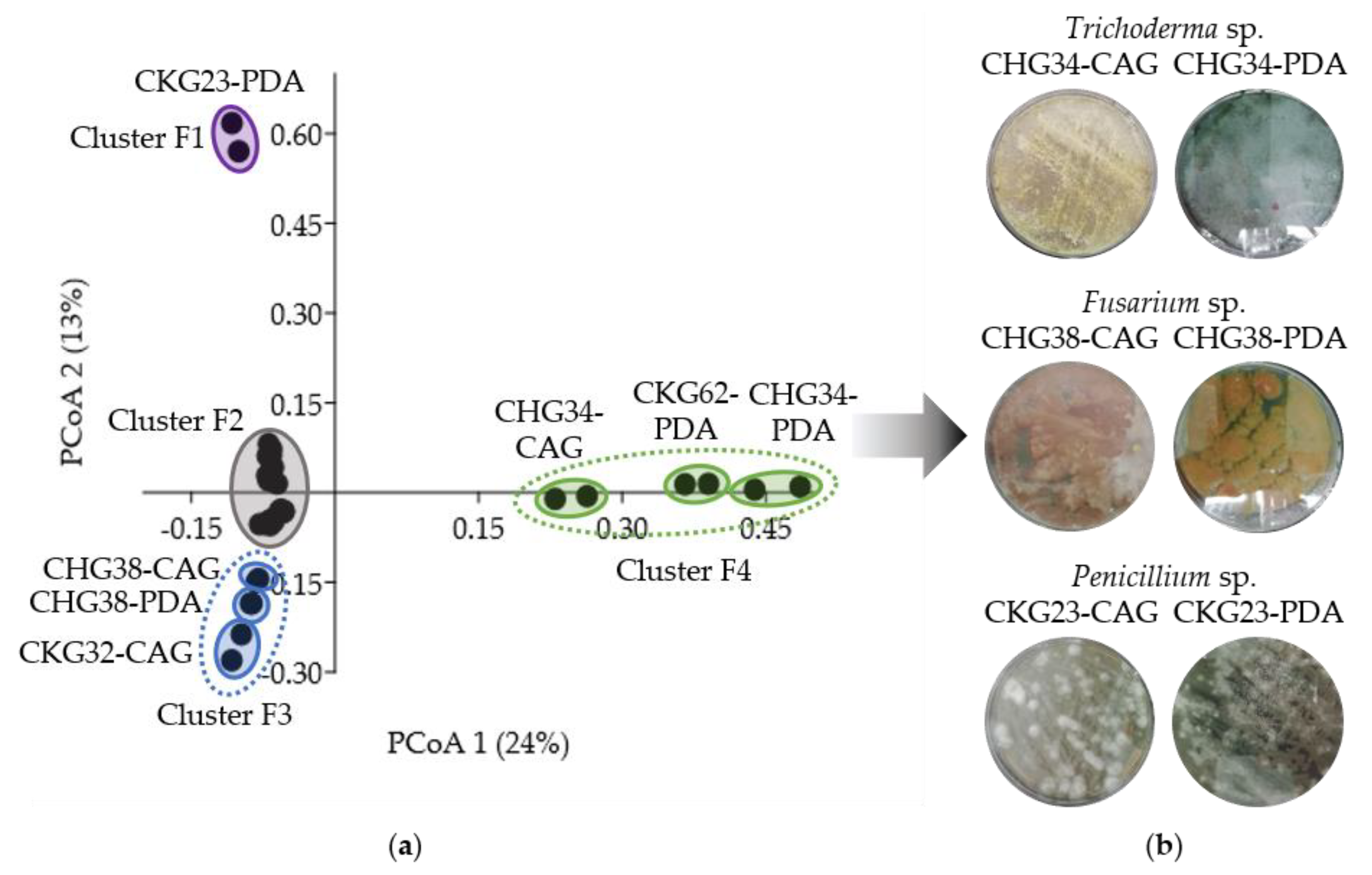 Marinedrugs 19 00006 g005