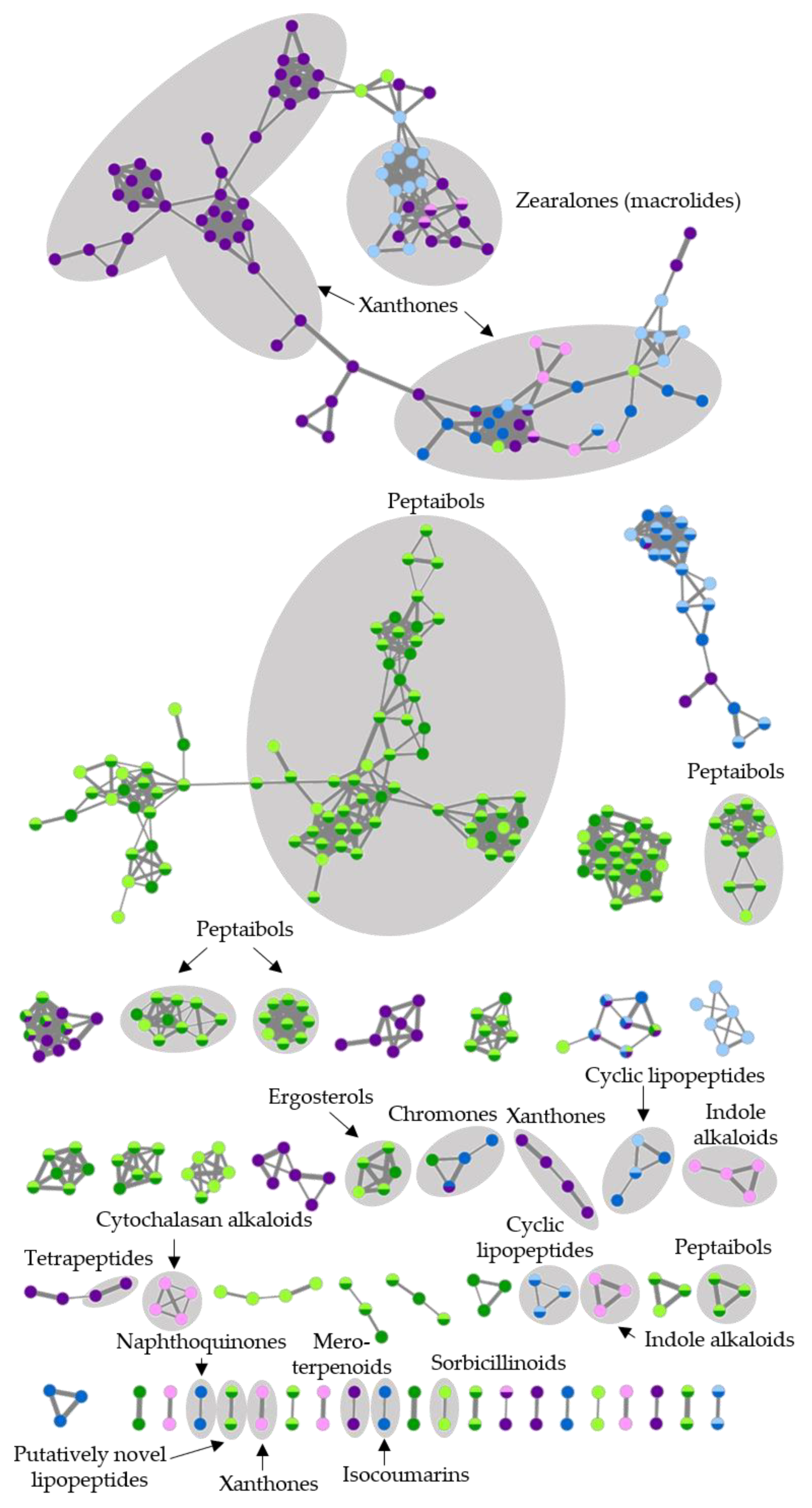 Marinedrugs 19 00006 g007