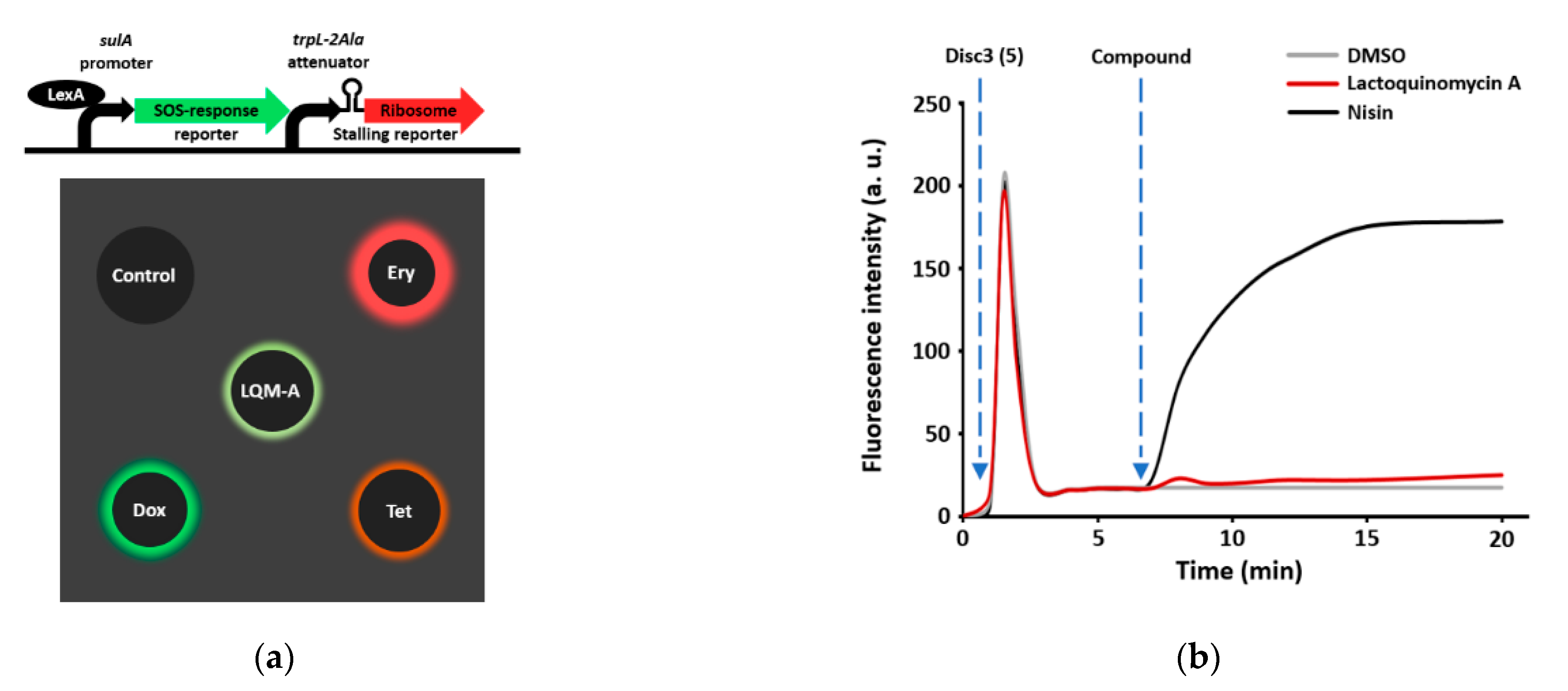 Marinedrugs 19 00007 g003