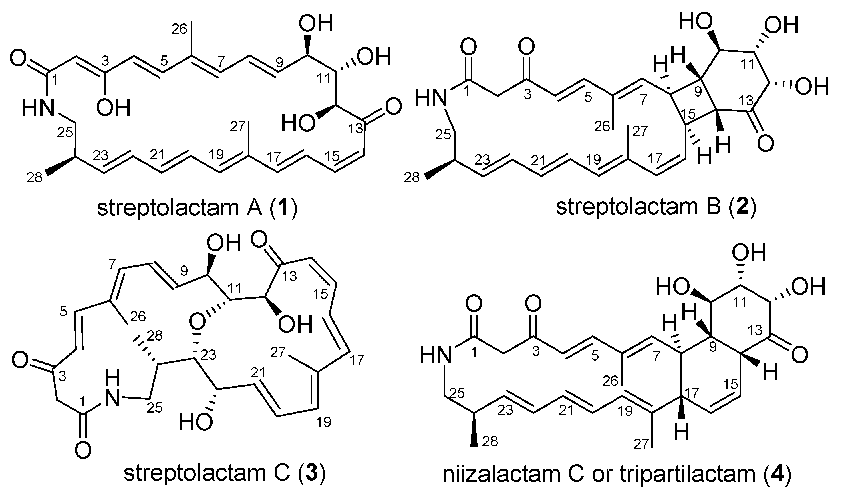 Marinedrugs 19 00013 g001