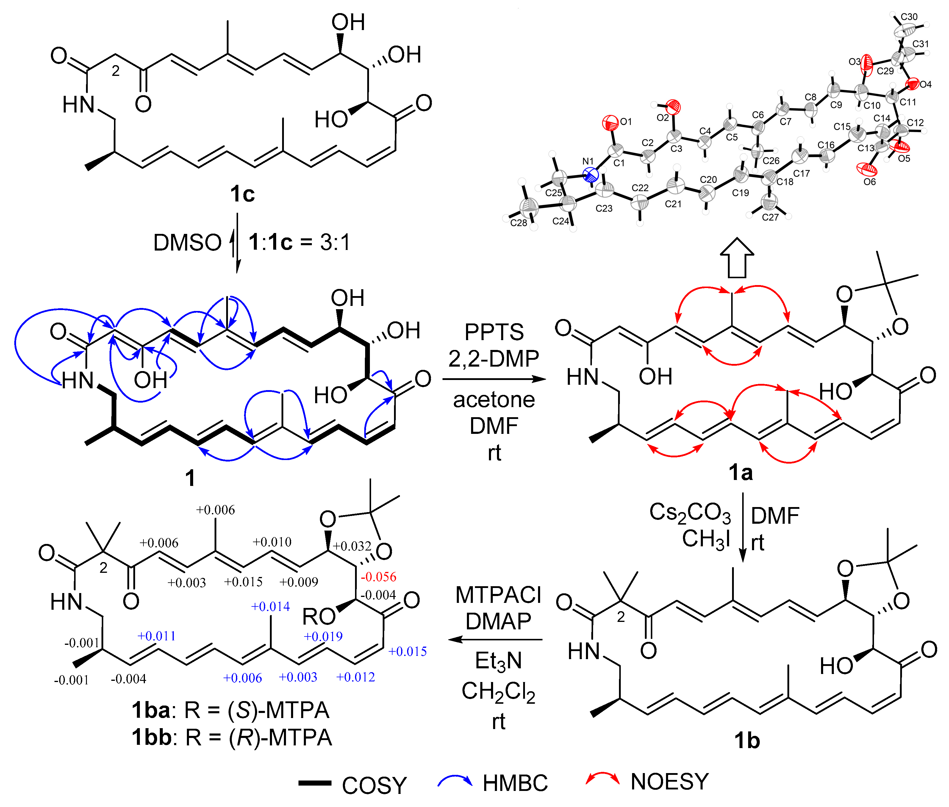 Marinedrugs 19 00013 g002