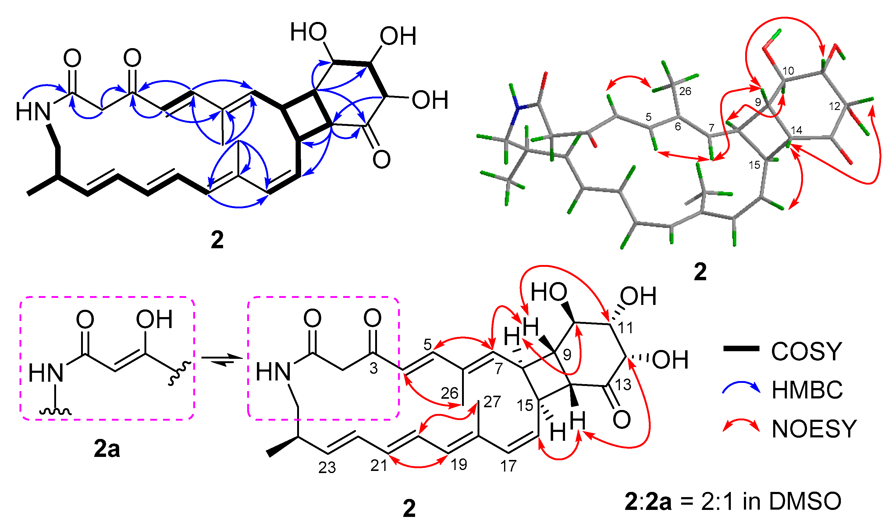 Marinedrugs 19 00013 g003