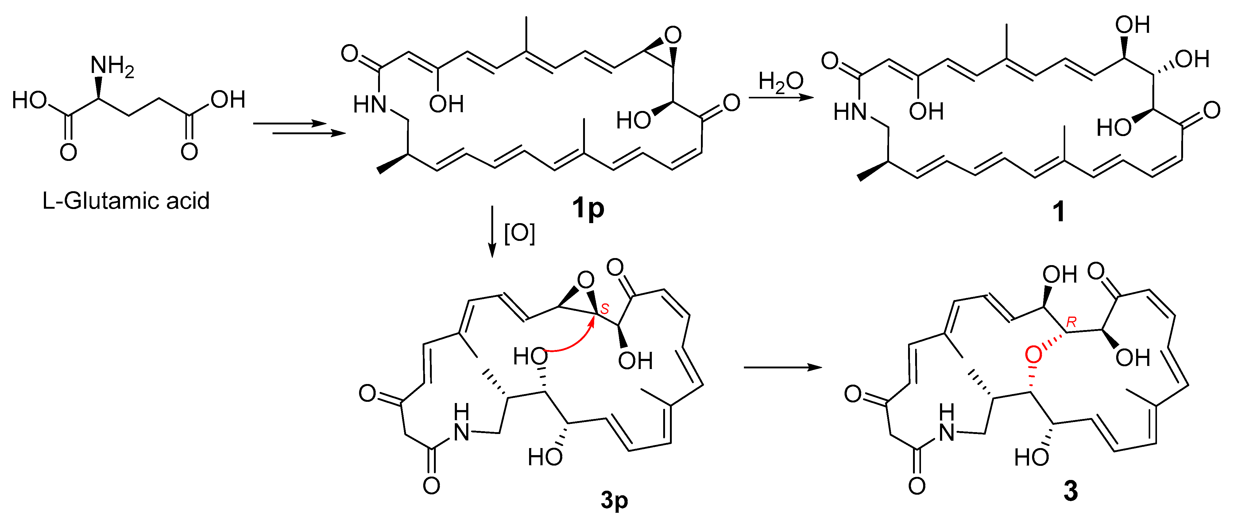 Marinedrugs 19 00013 g005