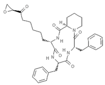 Marinedrugs 19 00015 i020