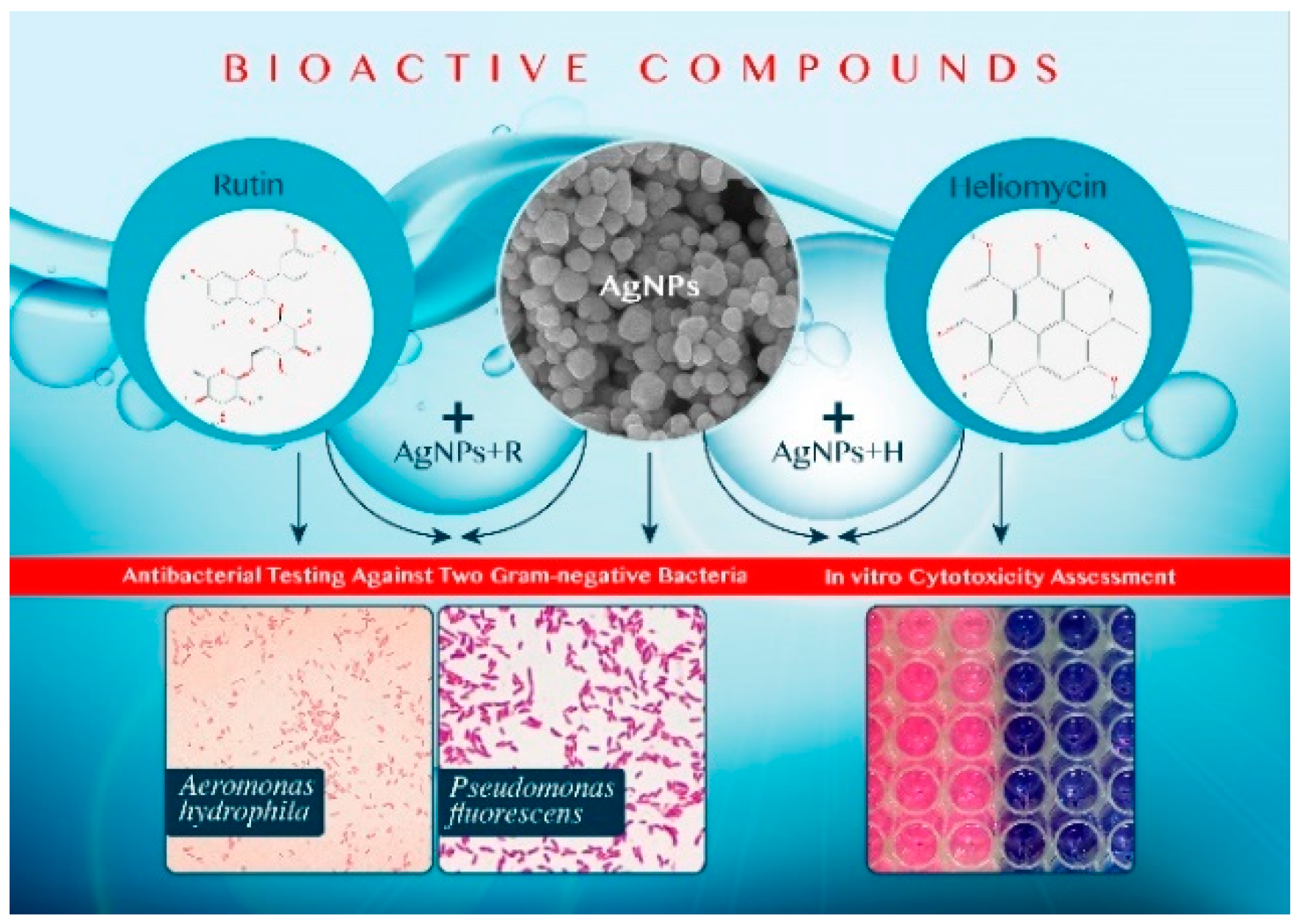 Marinedrugs 19 00022 g001