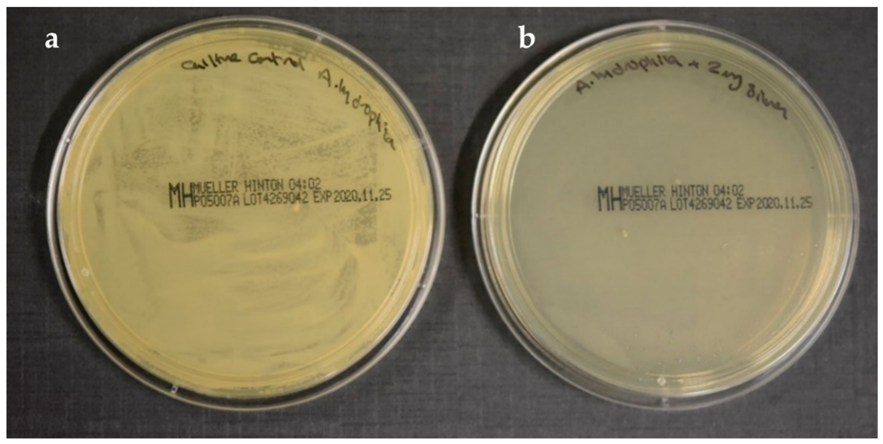 Marinedrugs 19 00022 g003