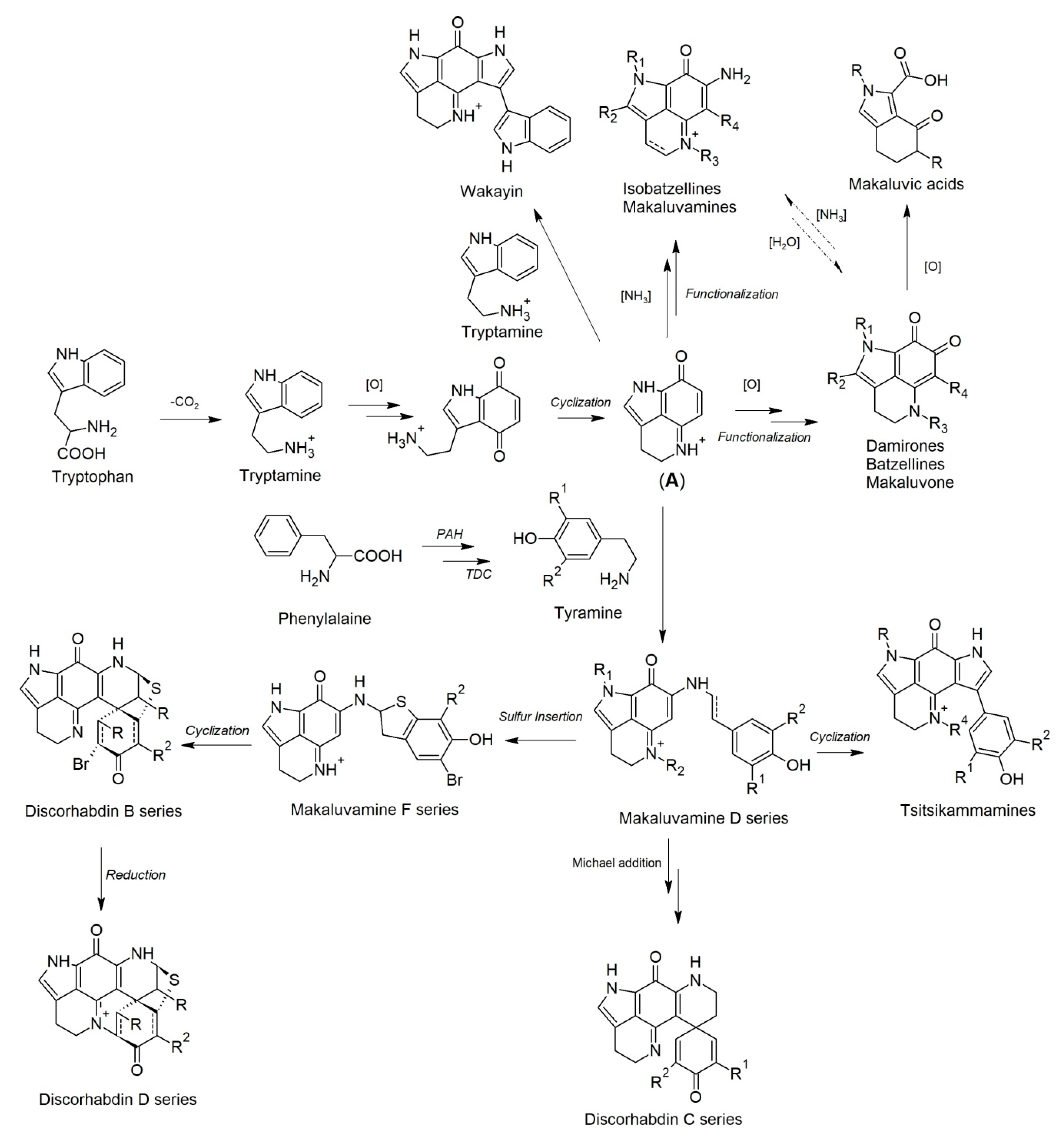 Marinedrugs 19 00027 sch001