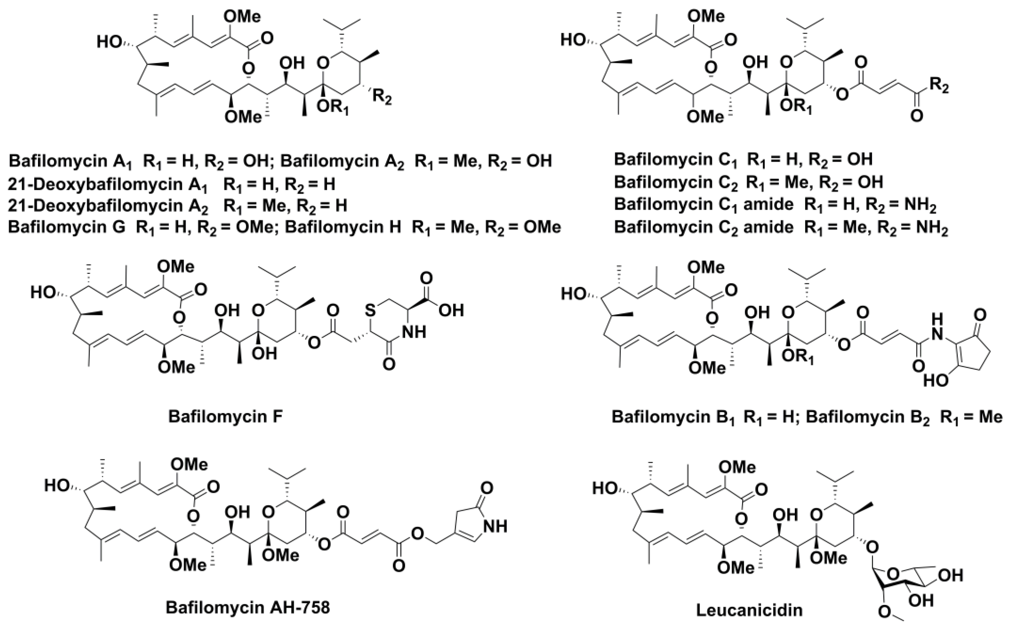 Marinedrugs 19 00029 g001