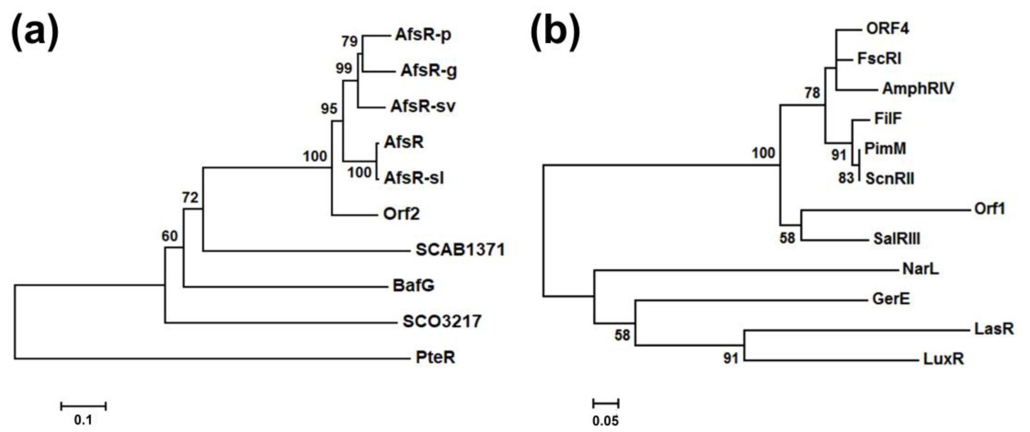 Marinedrugs 19 00029 g004