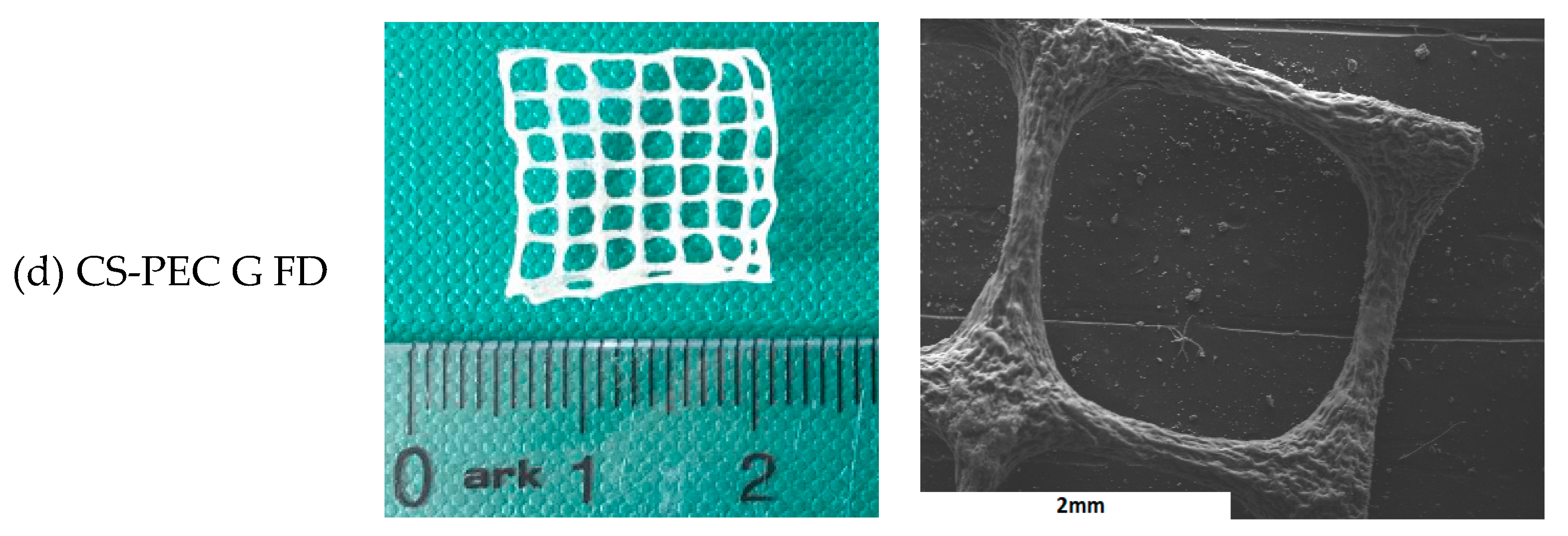 Marinedrugs 19 00036 g004b