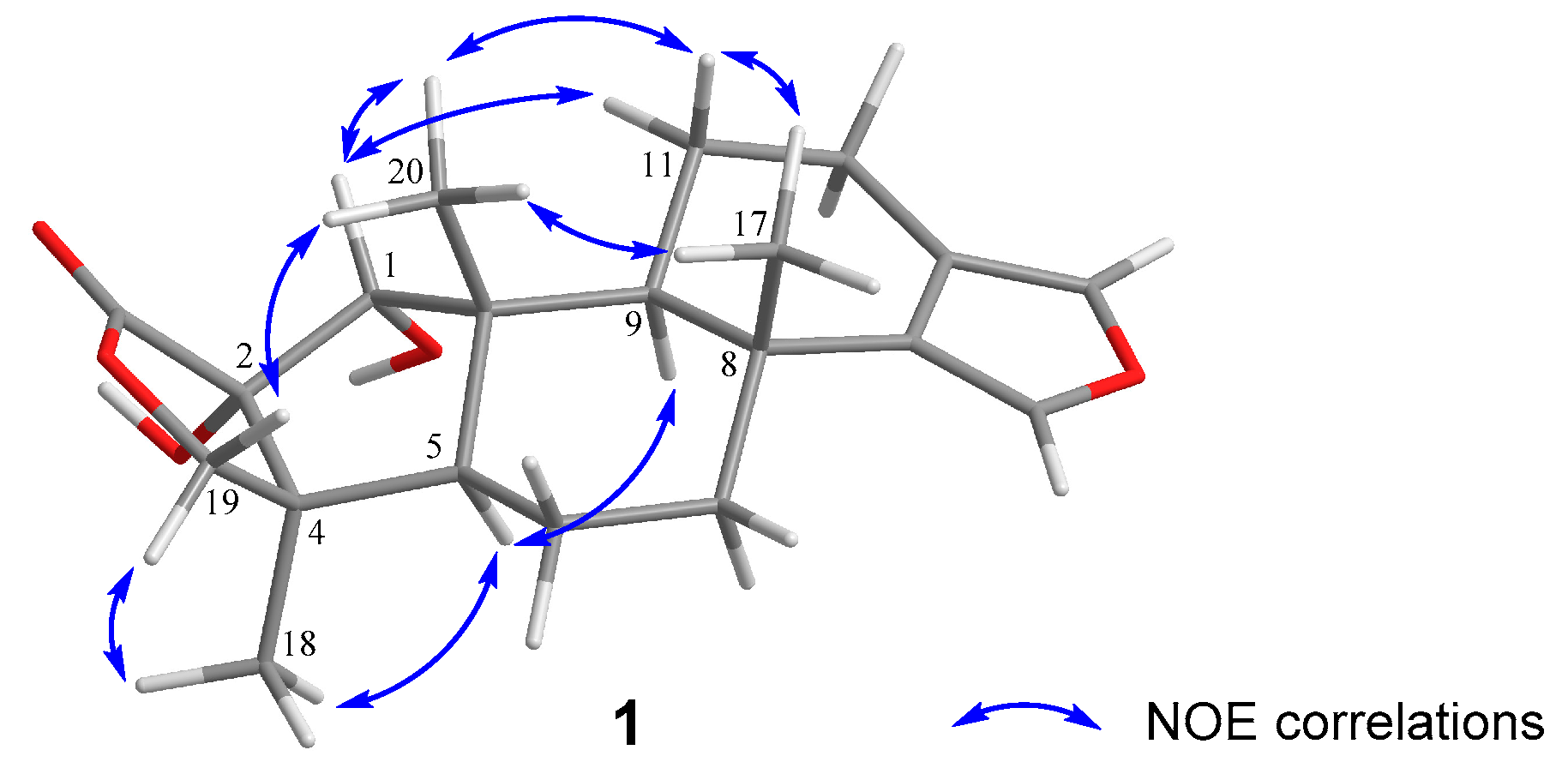 Marinedrugs 19 00038 g003 Marinedrugs 19 00038 g003
