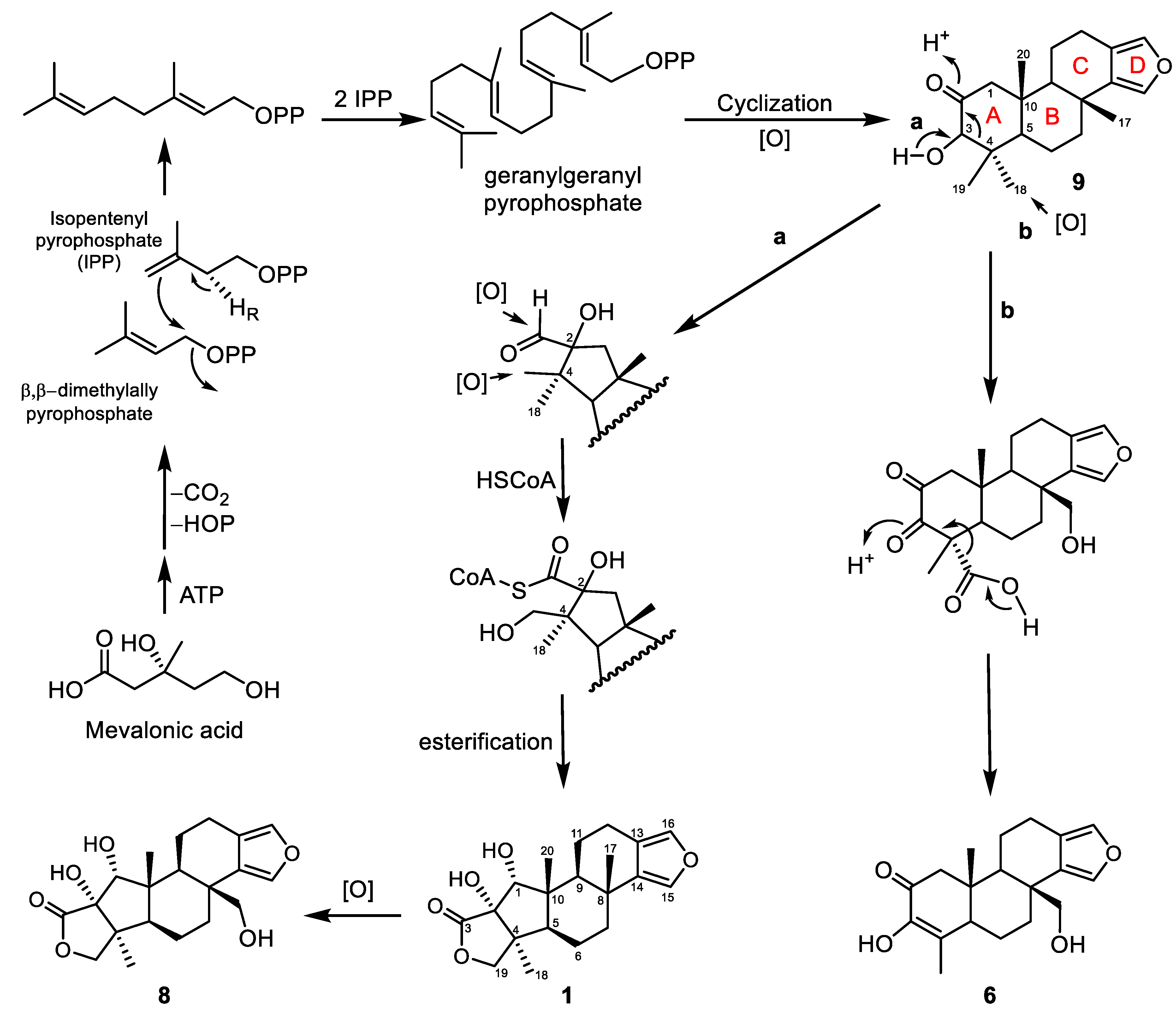 Marinedrugs 19 00038 sch001 Marinedrugs 19 00038 sch001