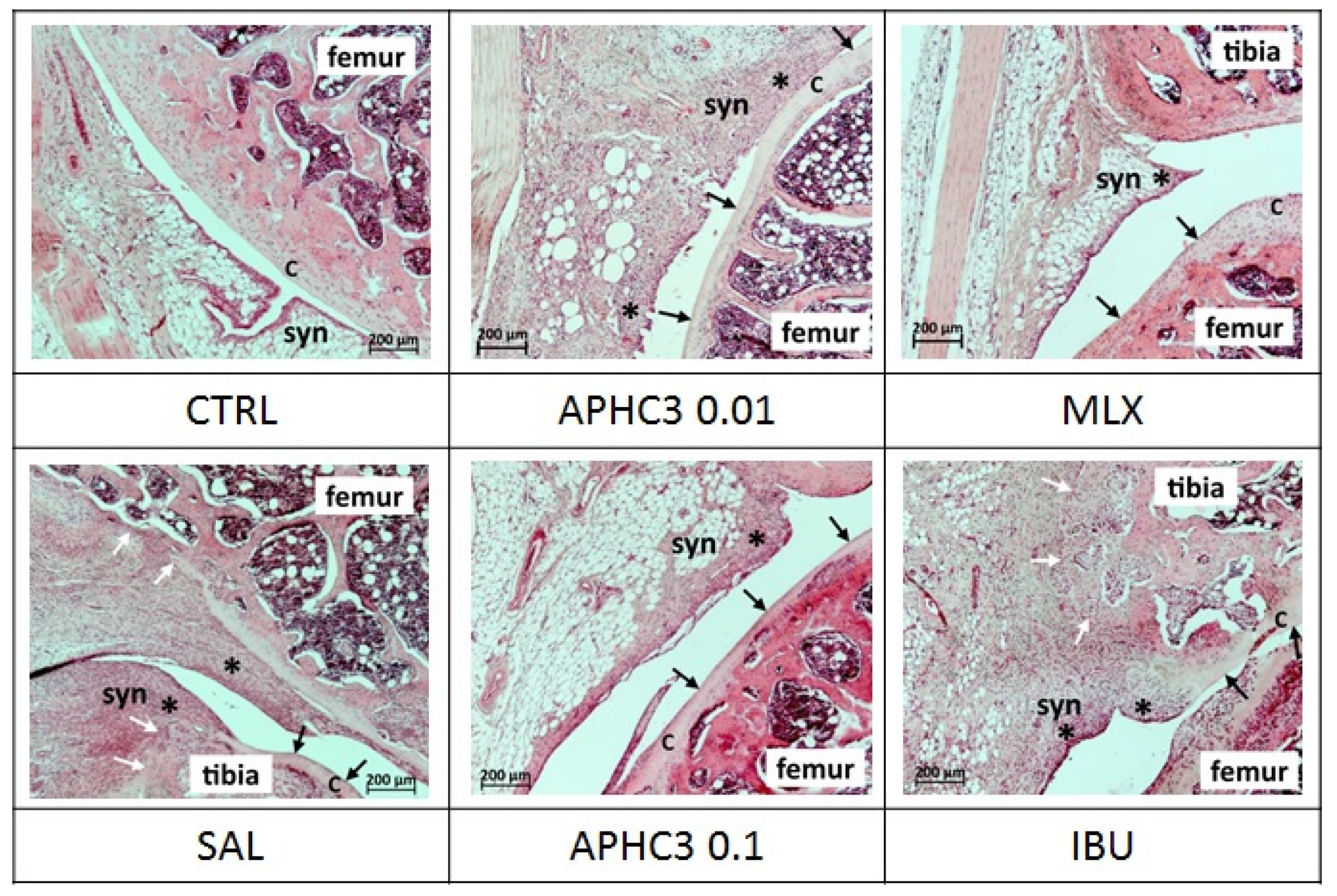 Marinedrugs 19 00039 g009 Marinedrugs 19 00039 g009