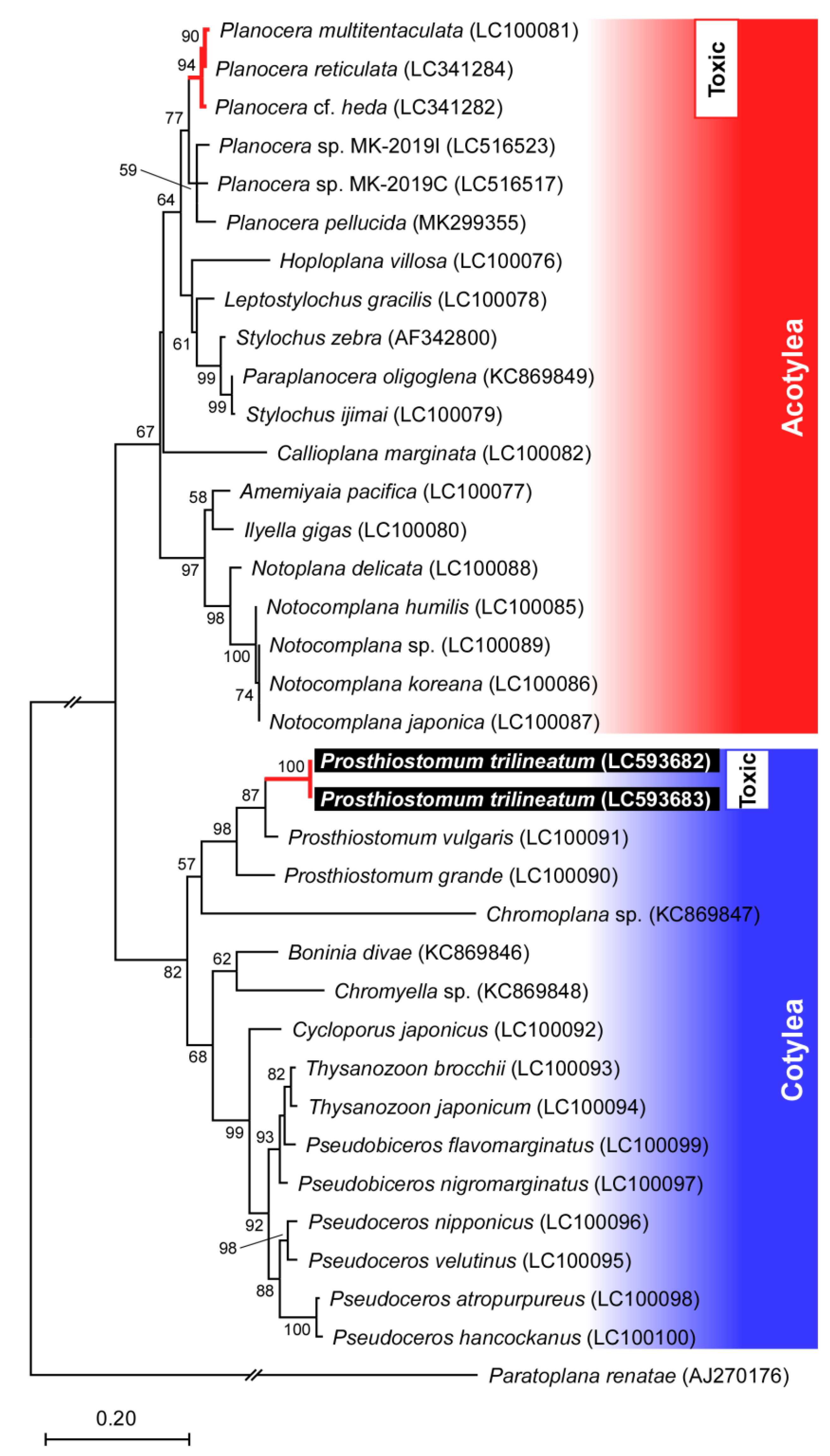 Marinedrugs 19 00040 g002